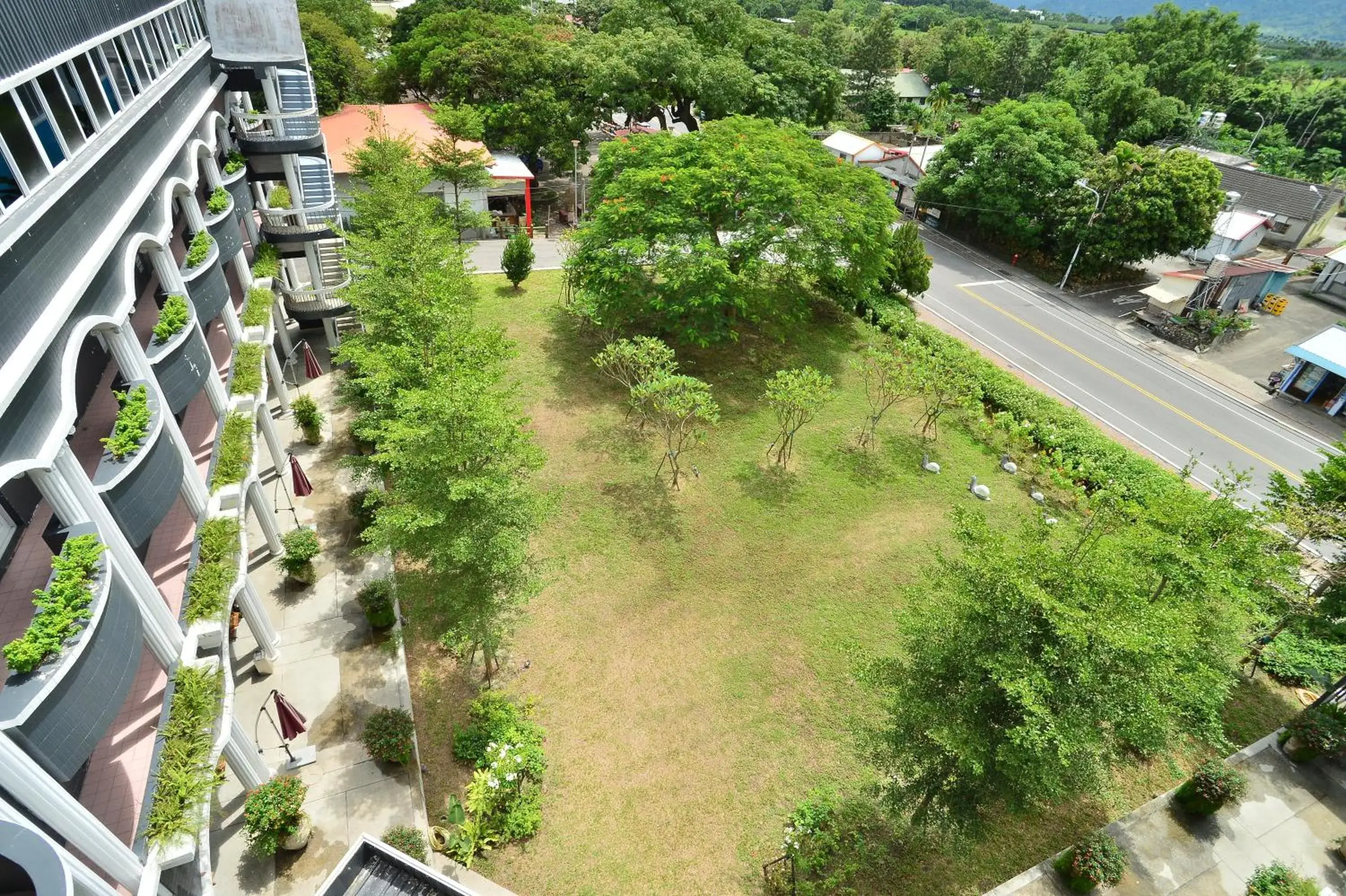 Garden view in Jinhue Hotel Garden view in Jinhue Hotel