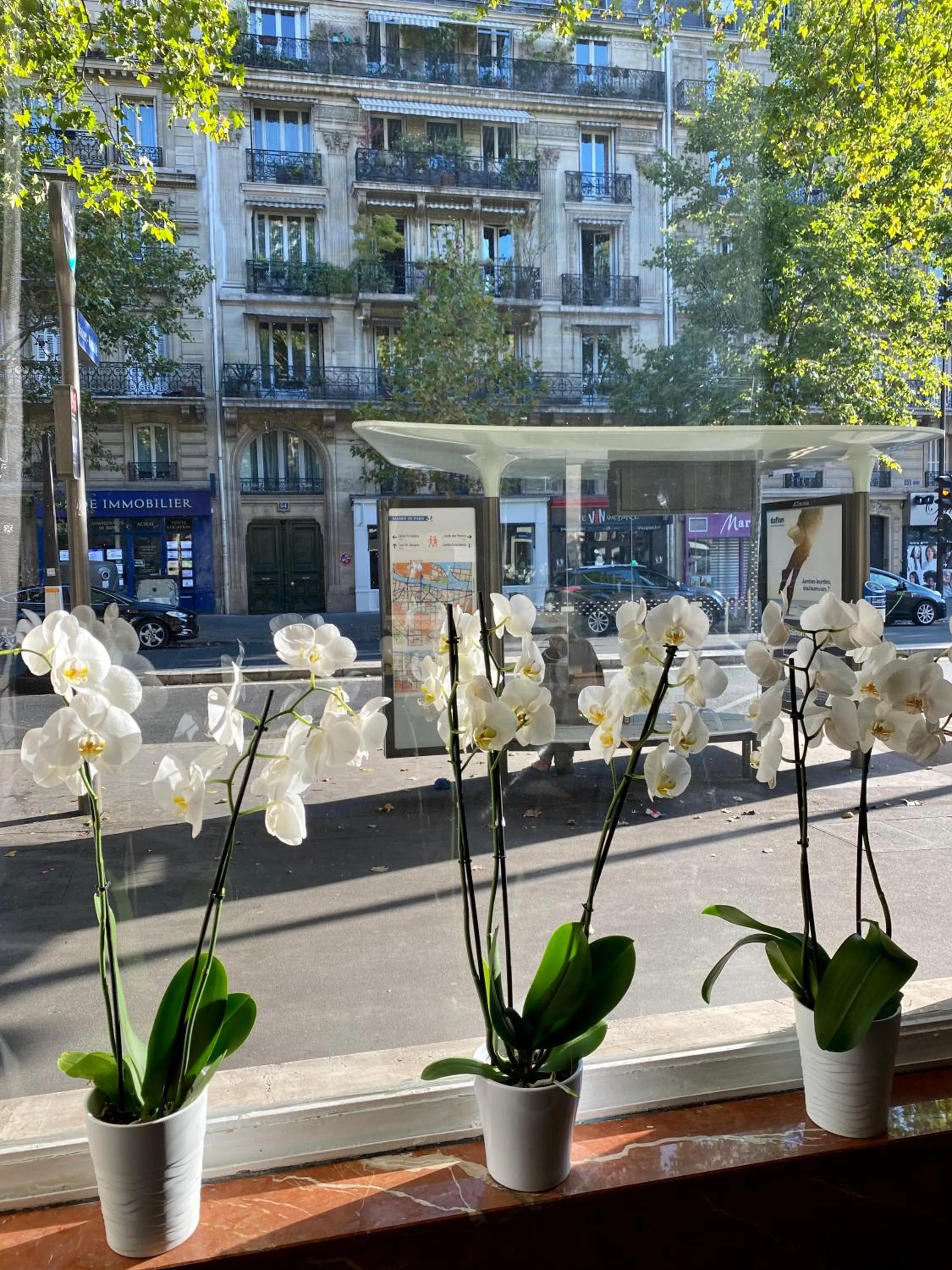 Property building in Hotel Studia