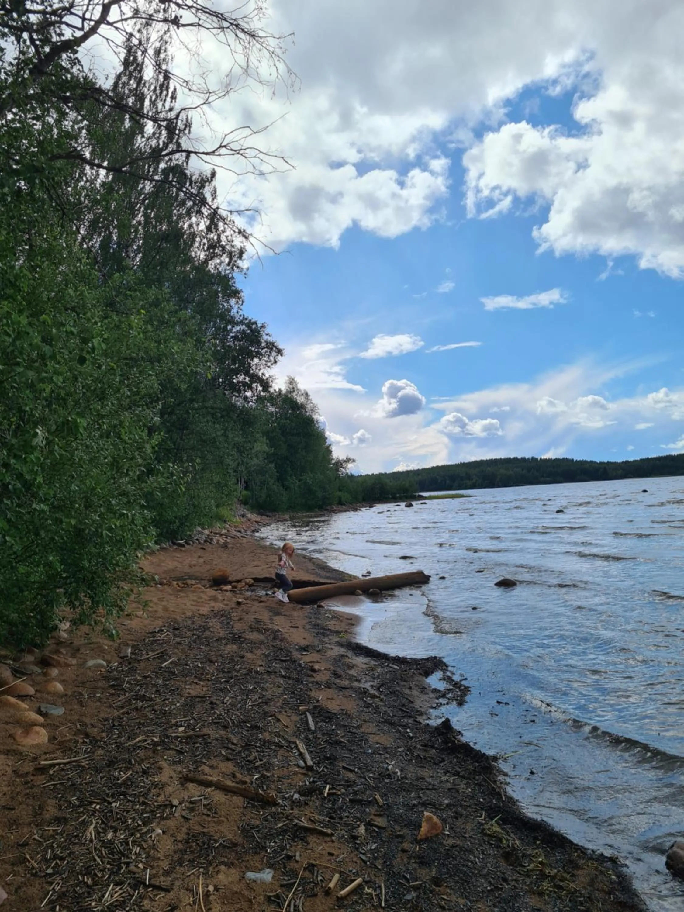 Natural landscape in Furunäset Hotell & Konferens