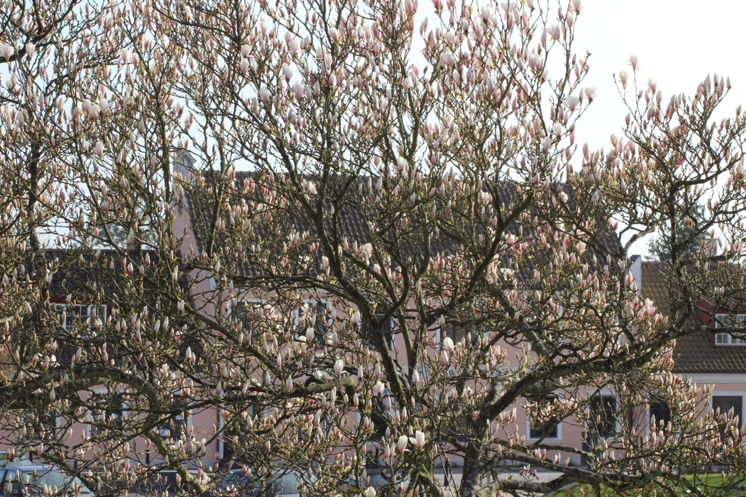 Facade/entrance in Skivarps Gästgivaregård