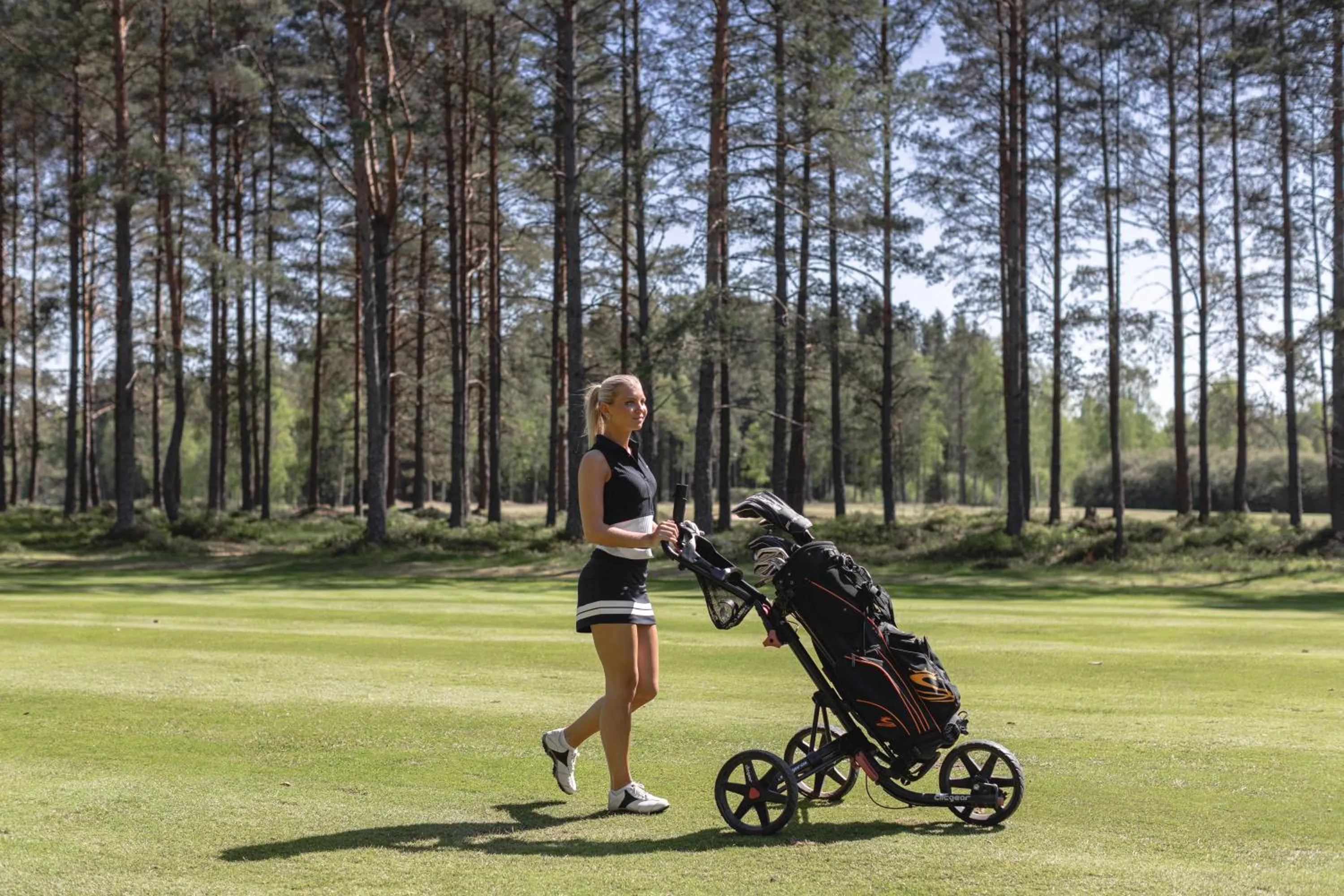 Golfcourse in Hooks Herrgård