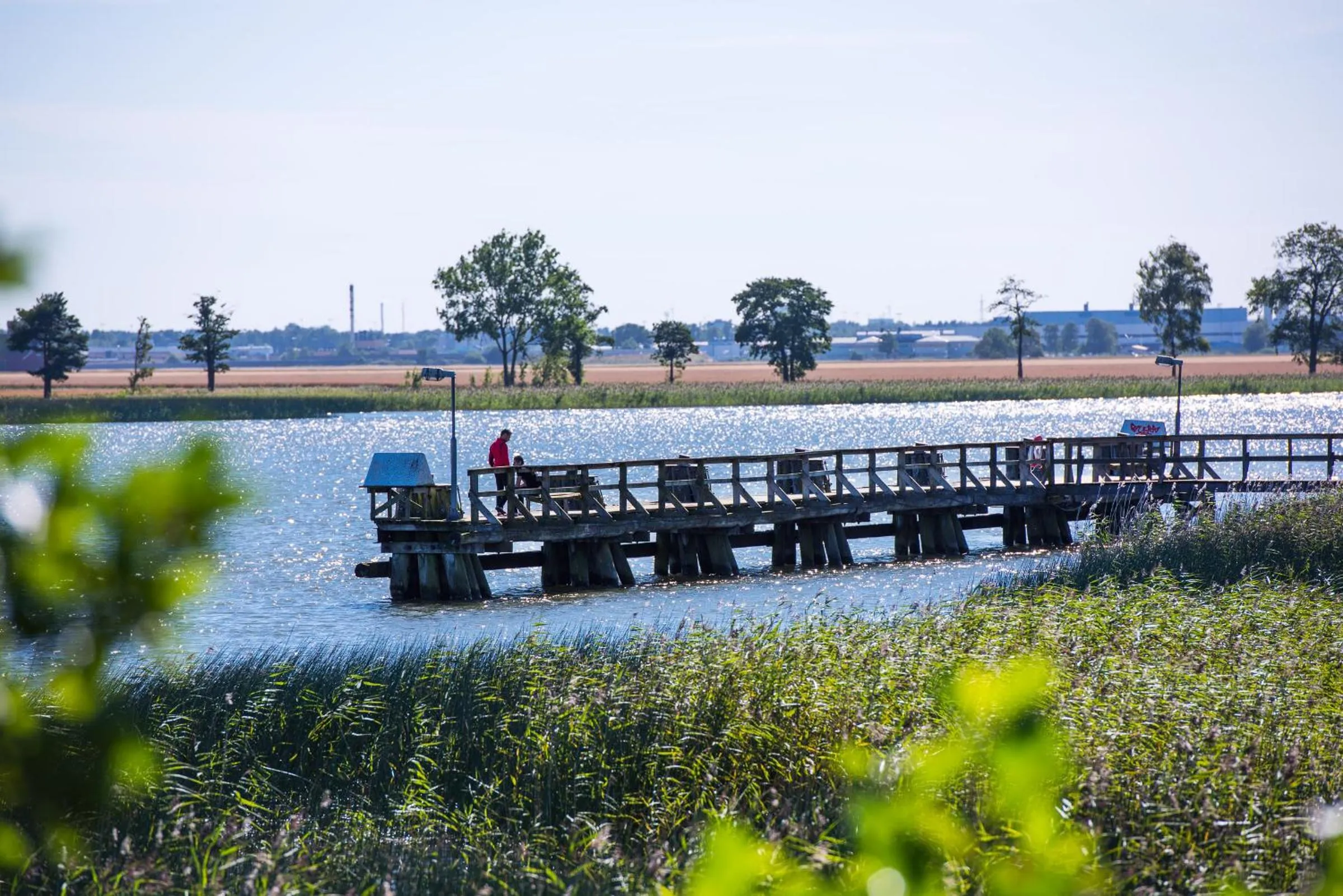 Garden view in Hotell Hehrne