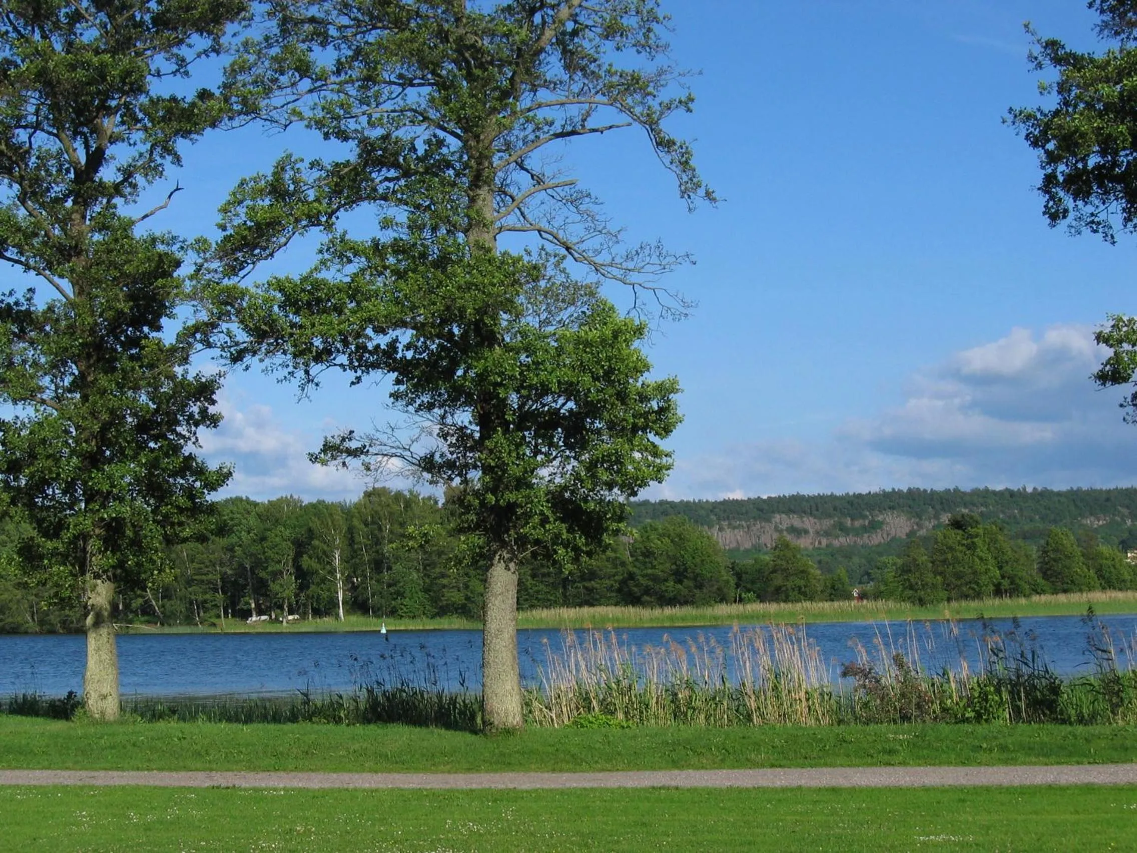 Garden in Hotell Hehrne