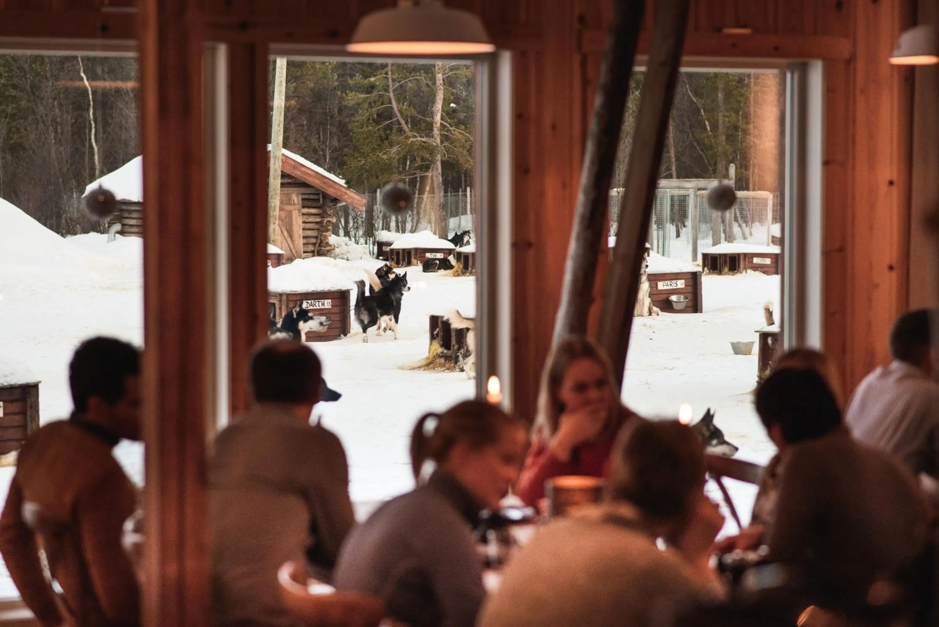 Restaurant/places to eat in Holmen Husky Lodge