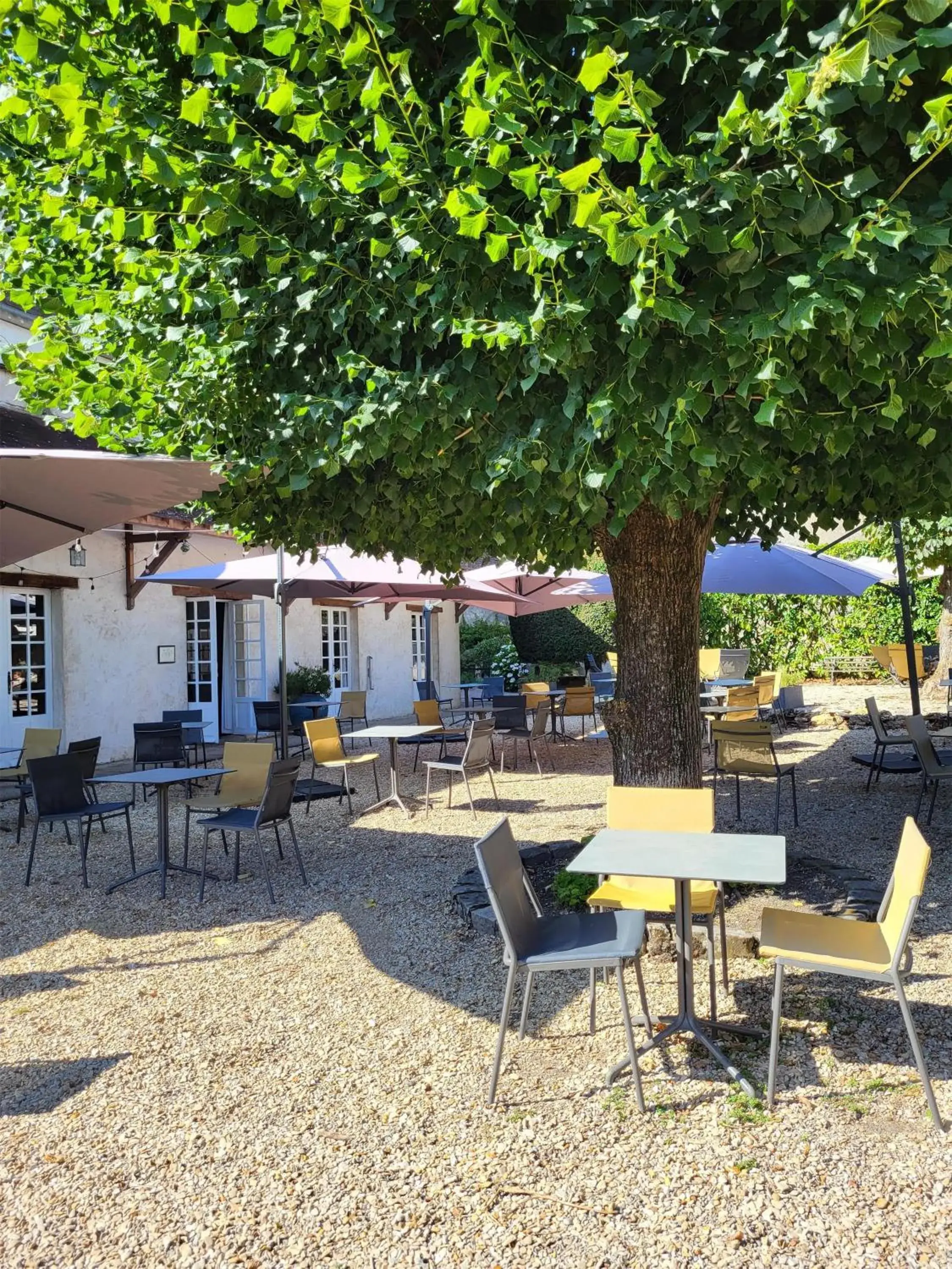 Best Western Blanche de Castille Dourdan Best Western Blanche de Castille Dourdan