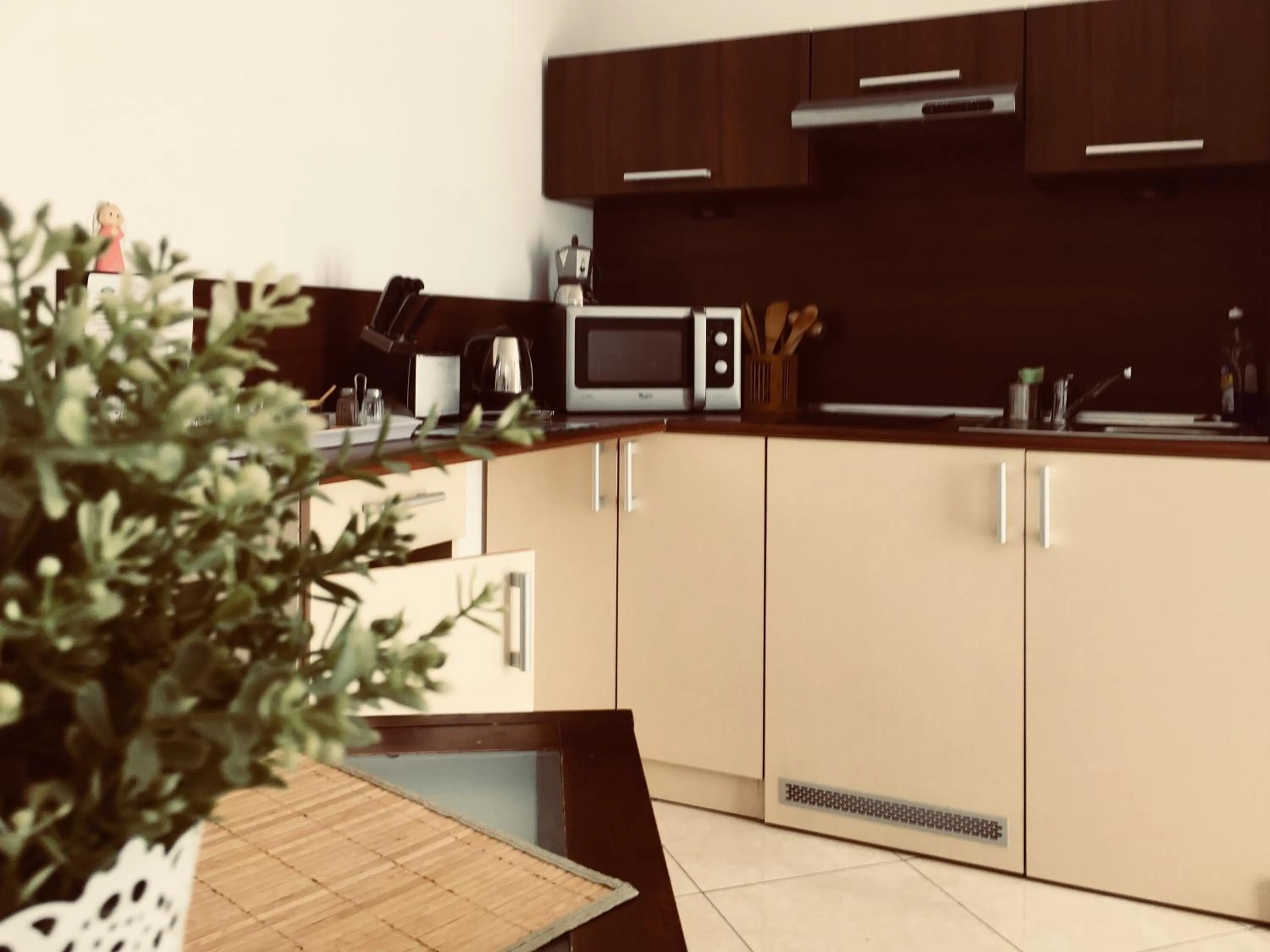Kitchen or kitchenette in Apartamenty Willa Alicja
