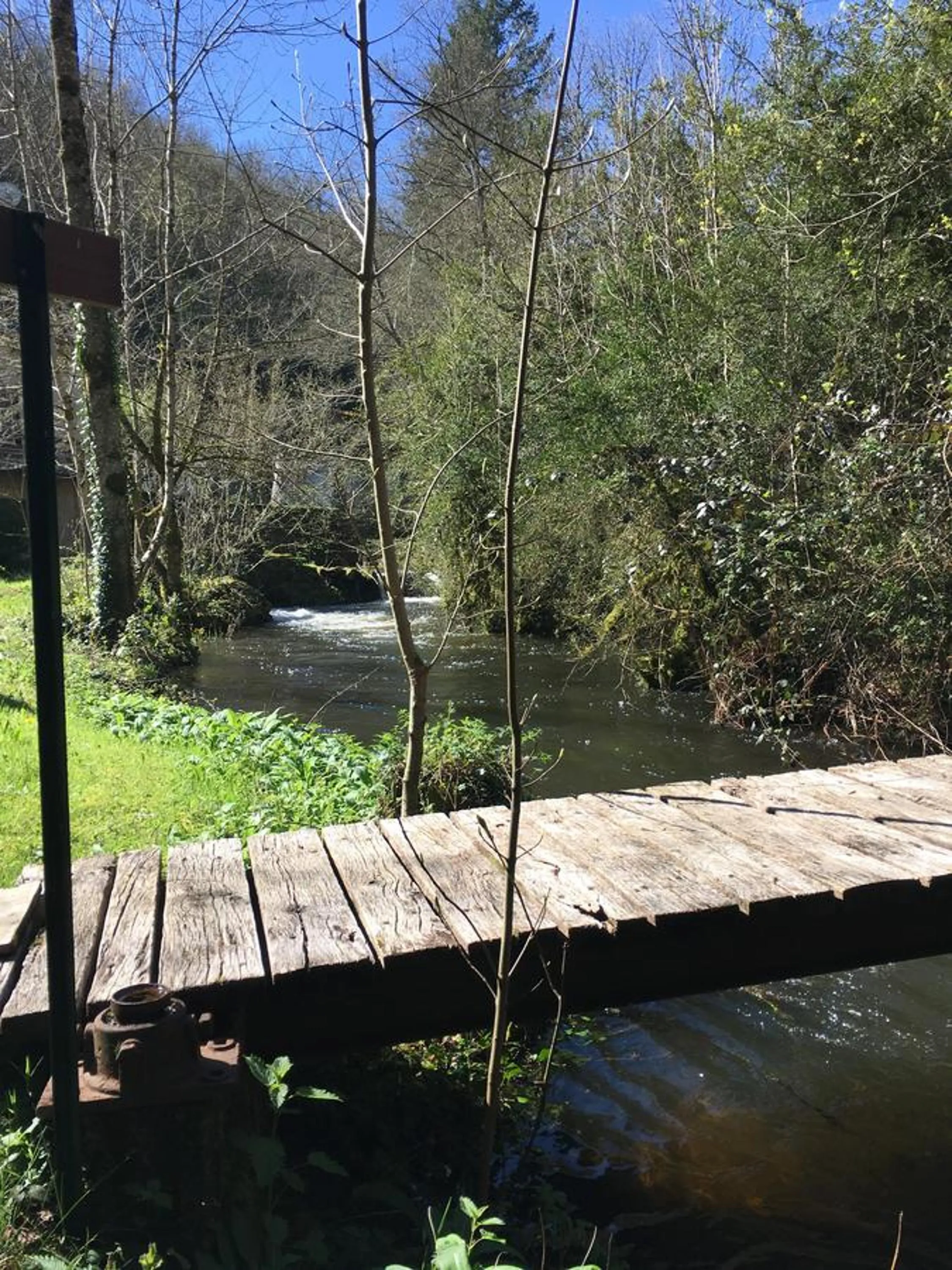 Garden in Moulin de la Fayolle