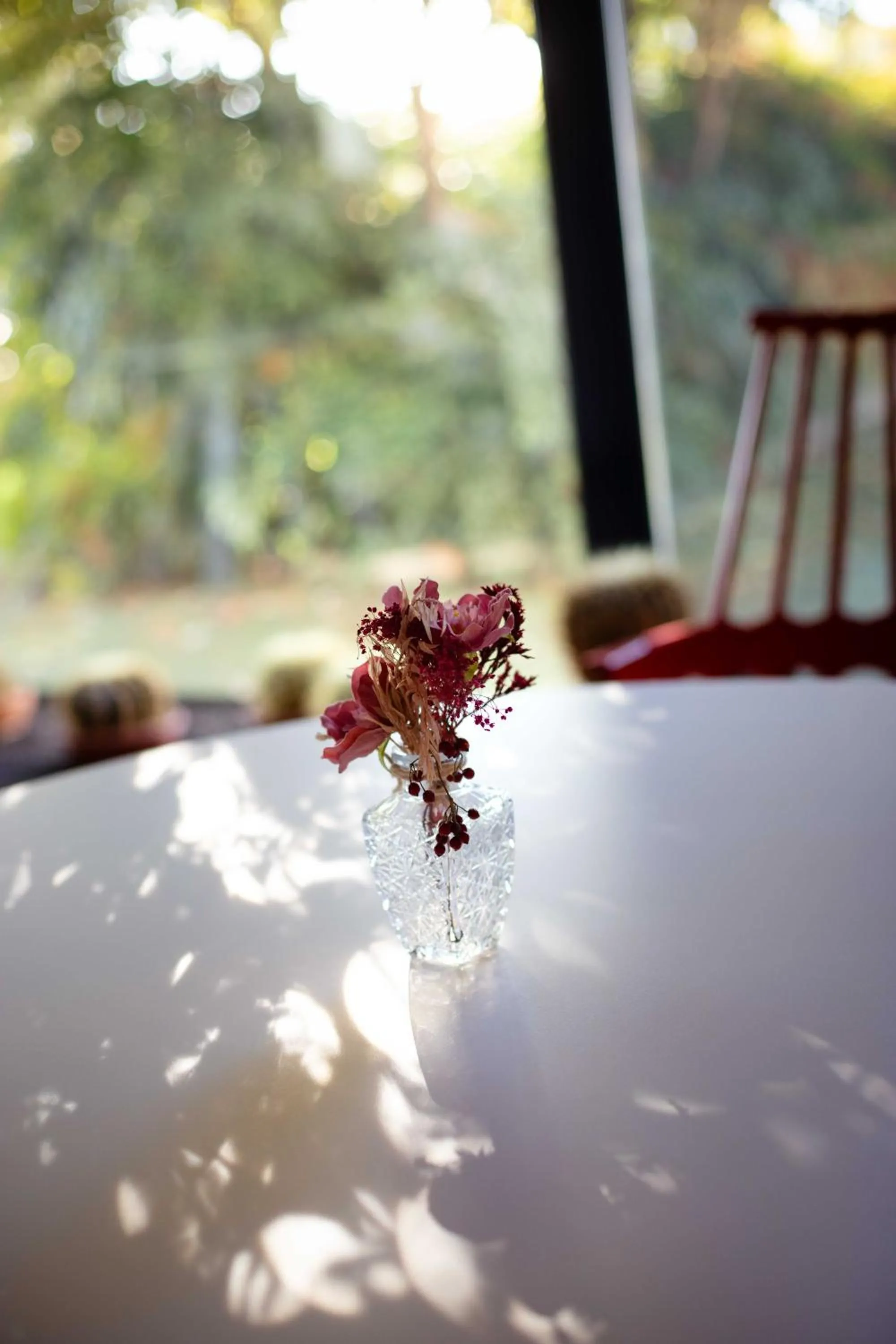 Lounge or bar in Garda Hotel