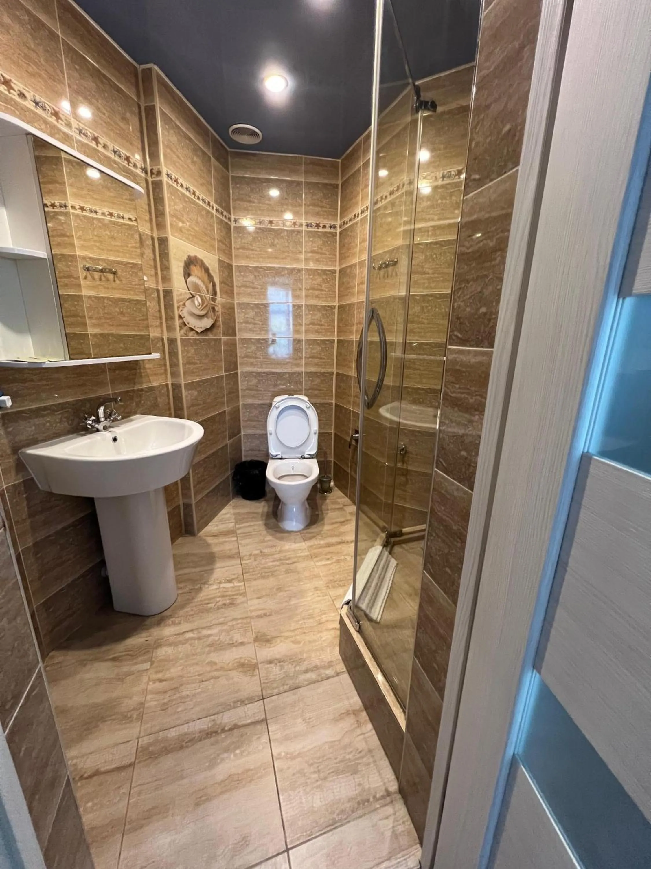 Shower in Three Dolphins Hotel