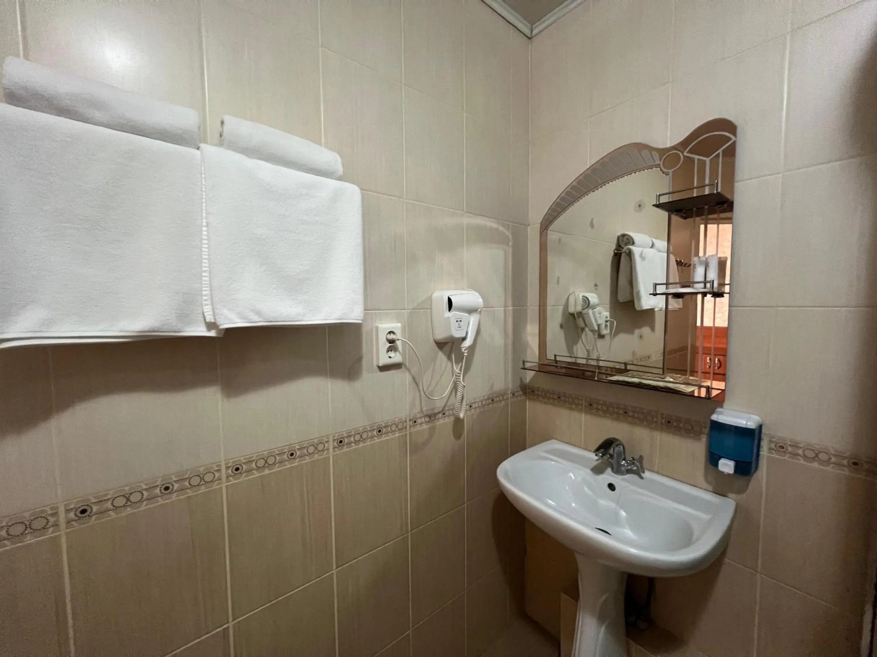 Shower in Three Dolphins Hotel