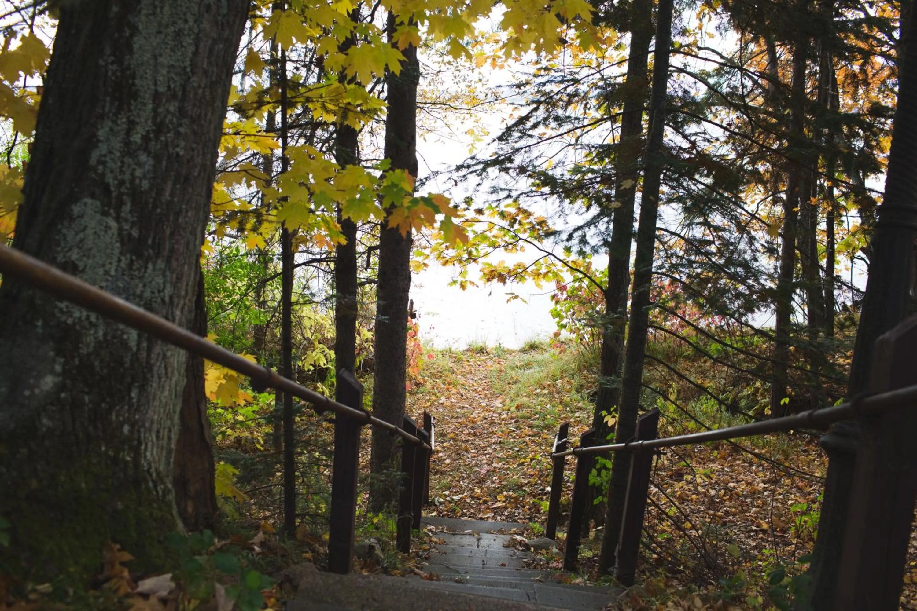 Beach in Mission Springs Resort