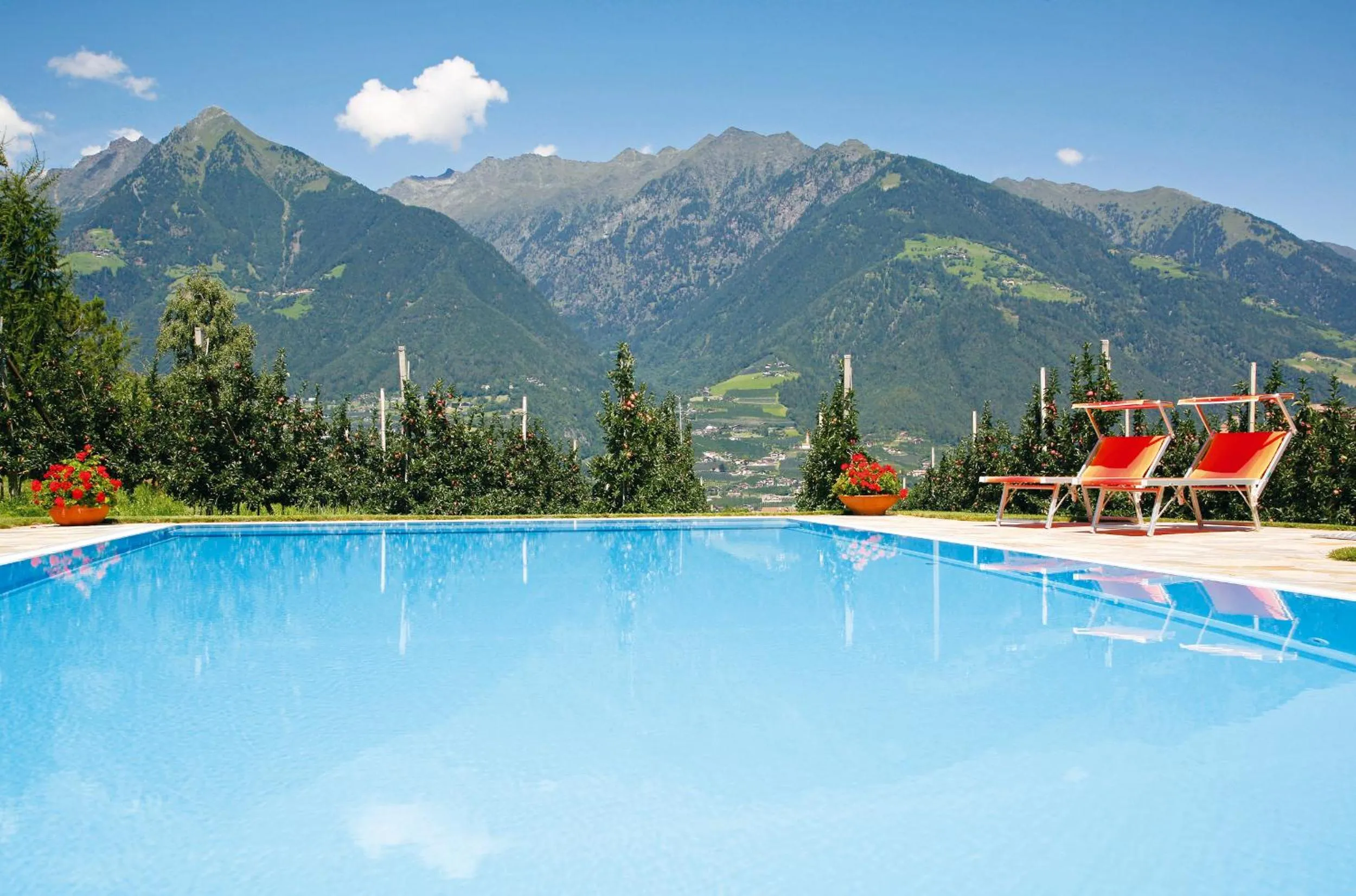 Swimming pool in Garni Pluner