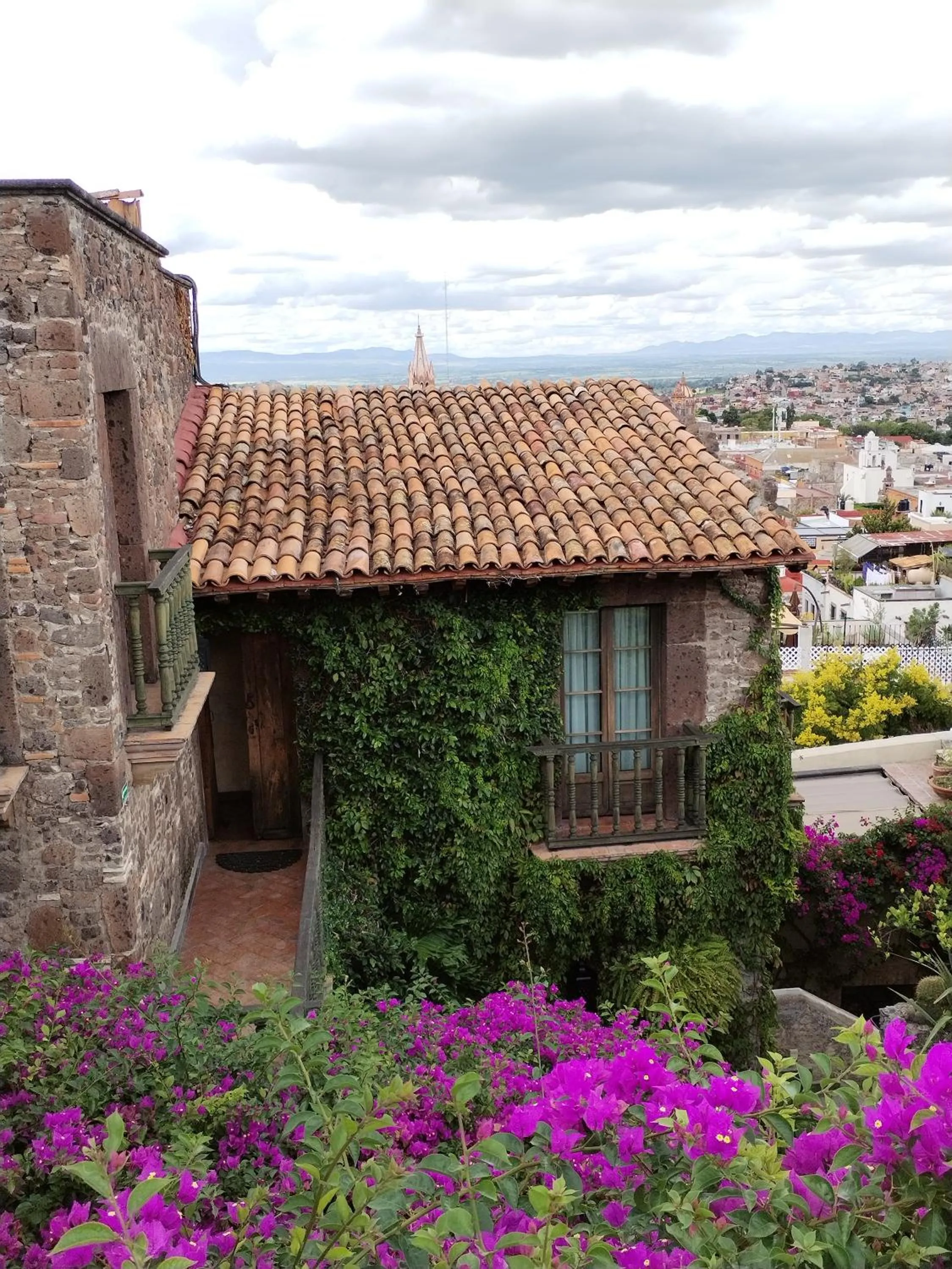 Garden view in Hacienda Las Amantes