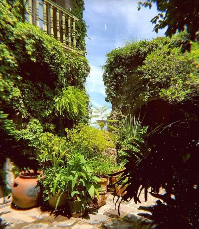 Garden in Hacienda Las Amantes