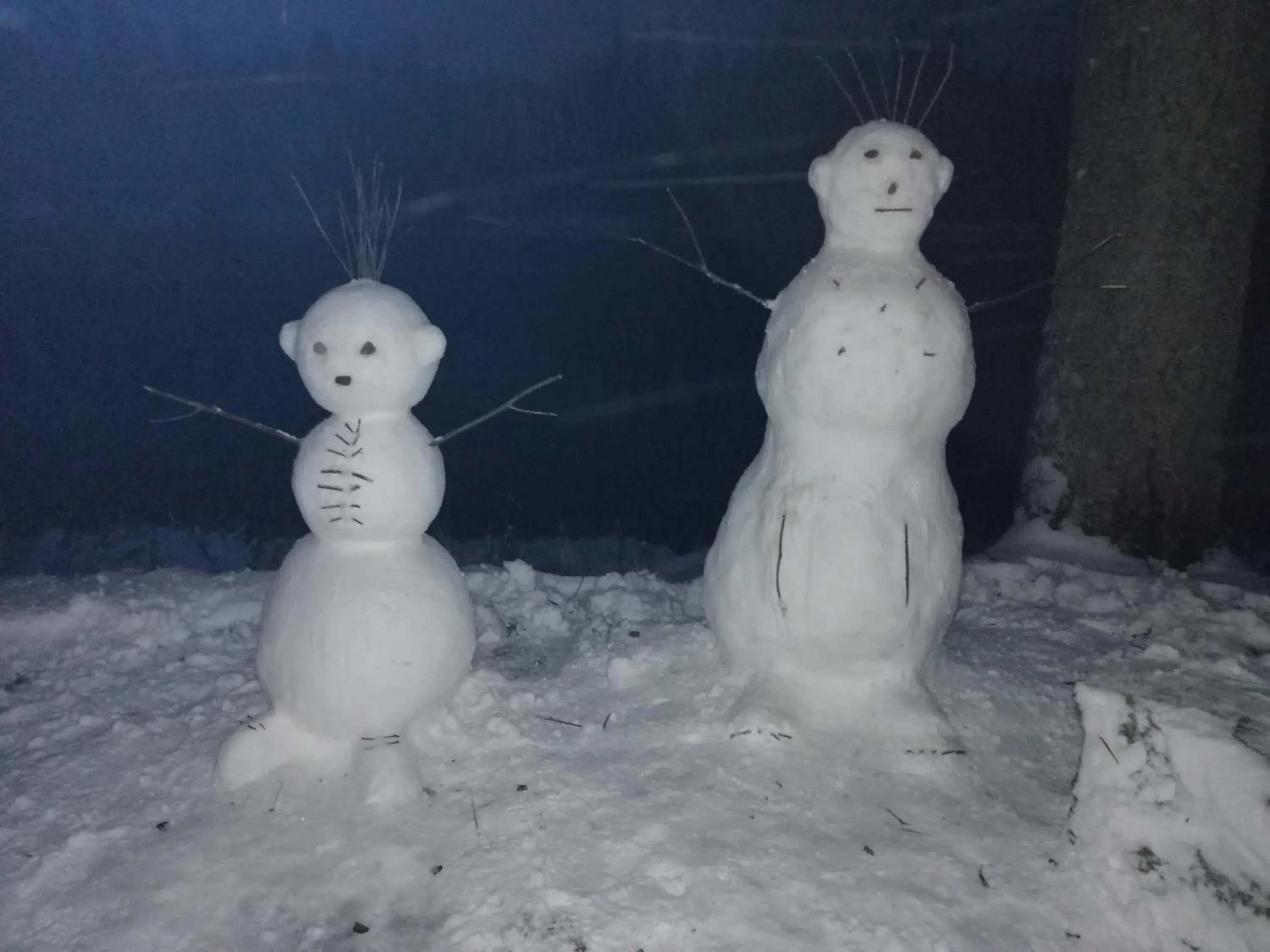 Lugnet Malung Hotell