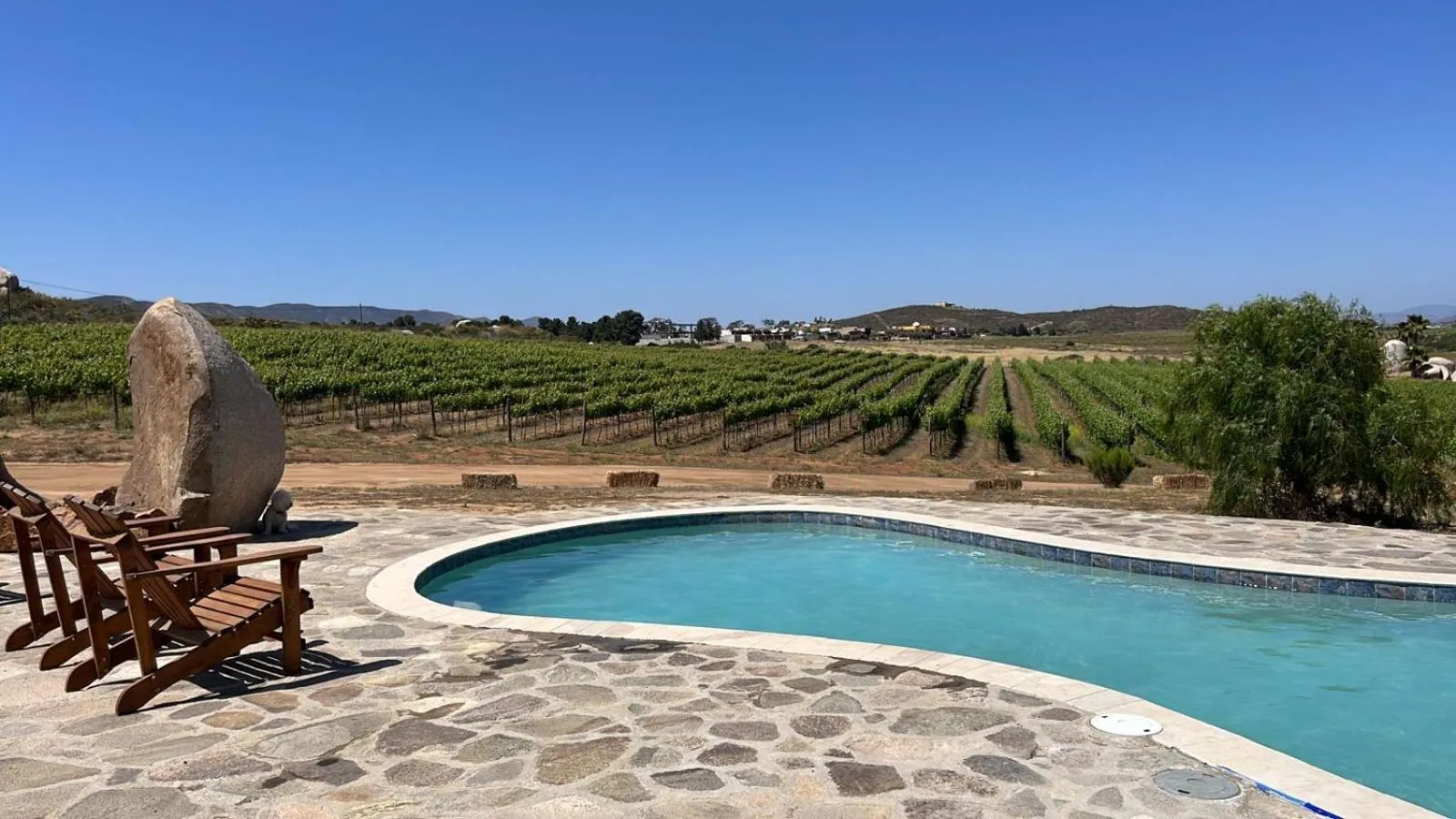 Swimming pool in En'kanto Valle de Guadalupe