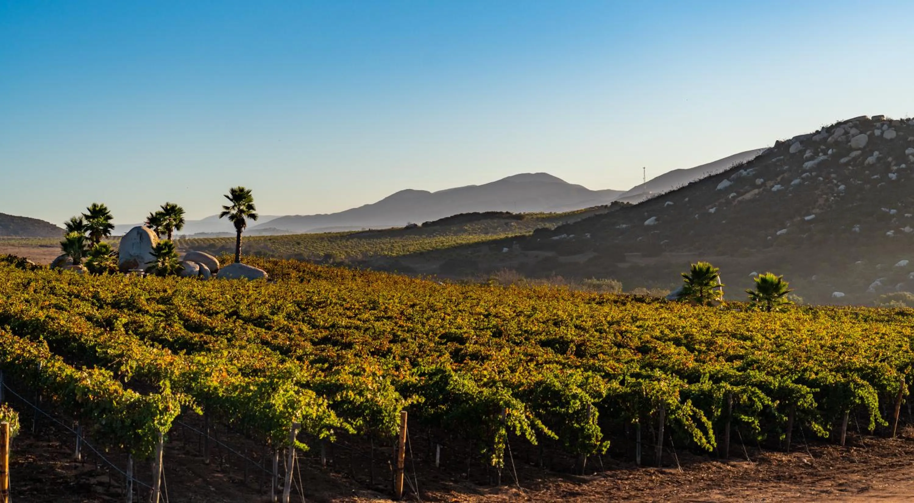 En'kanto Valle de Guadalupe