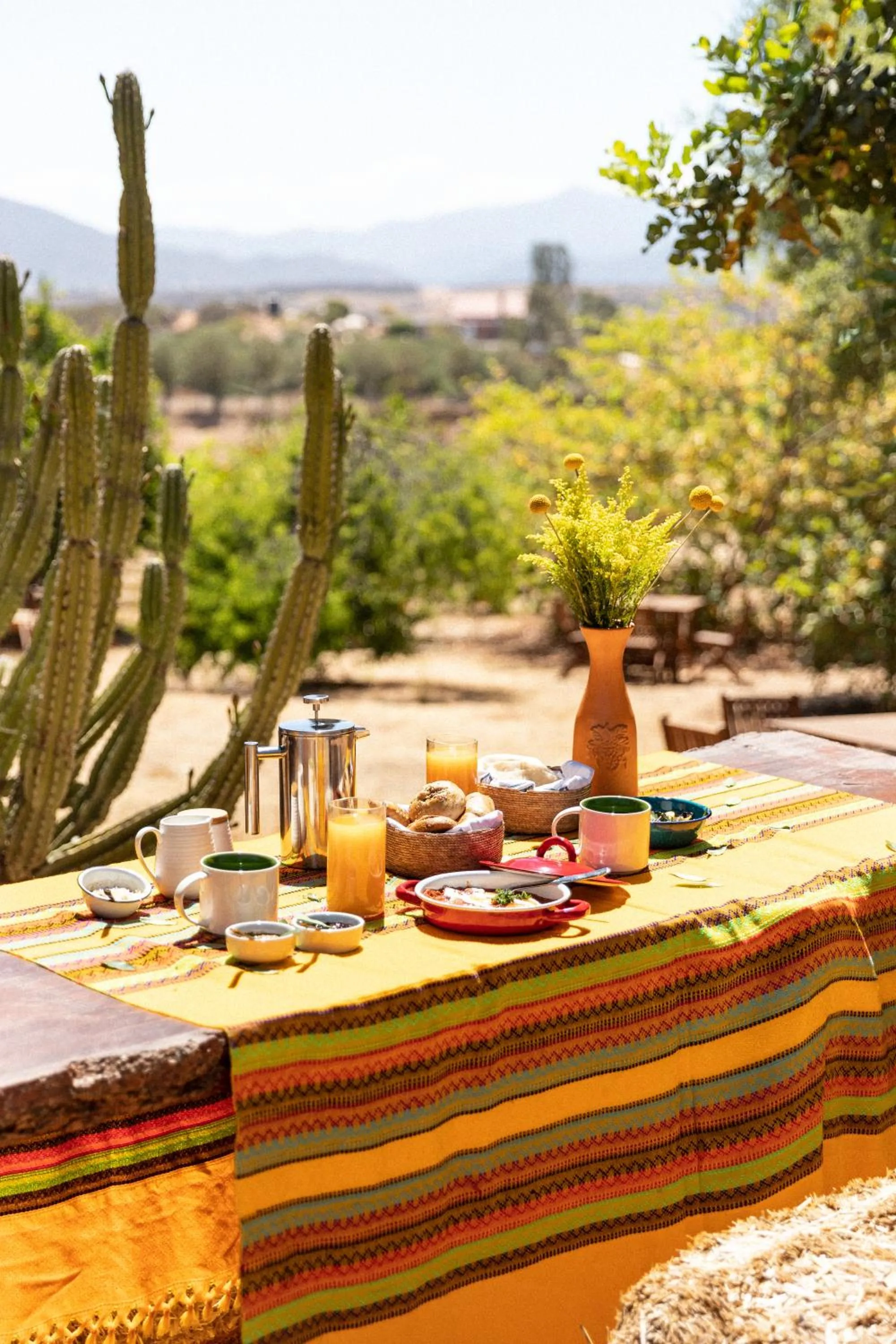 Restaurant/places to eat in En'kanto Valle de Guadalupe