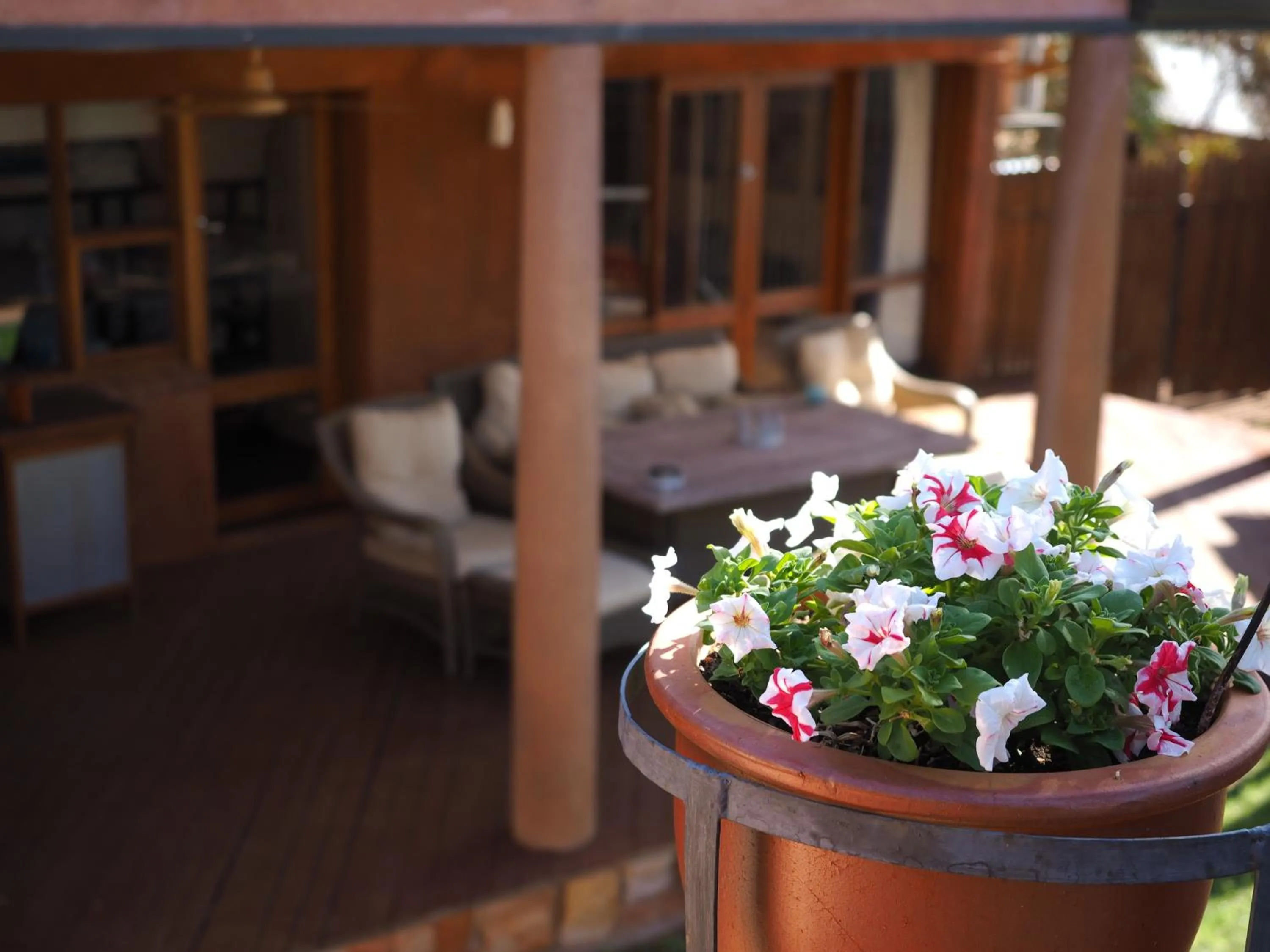 Property building in Wilmots on Dixon