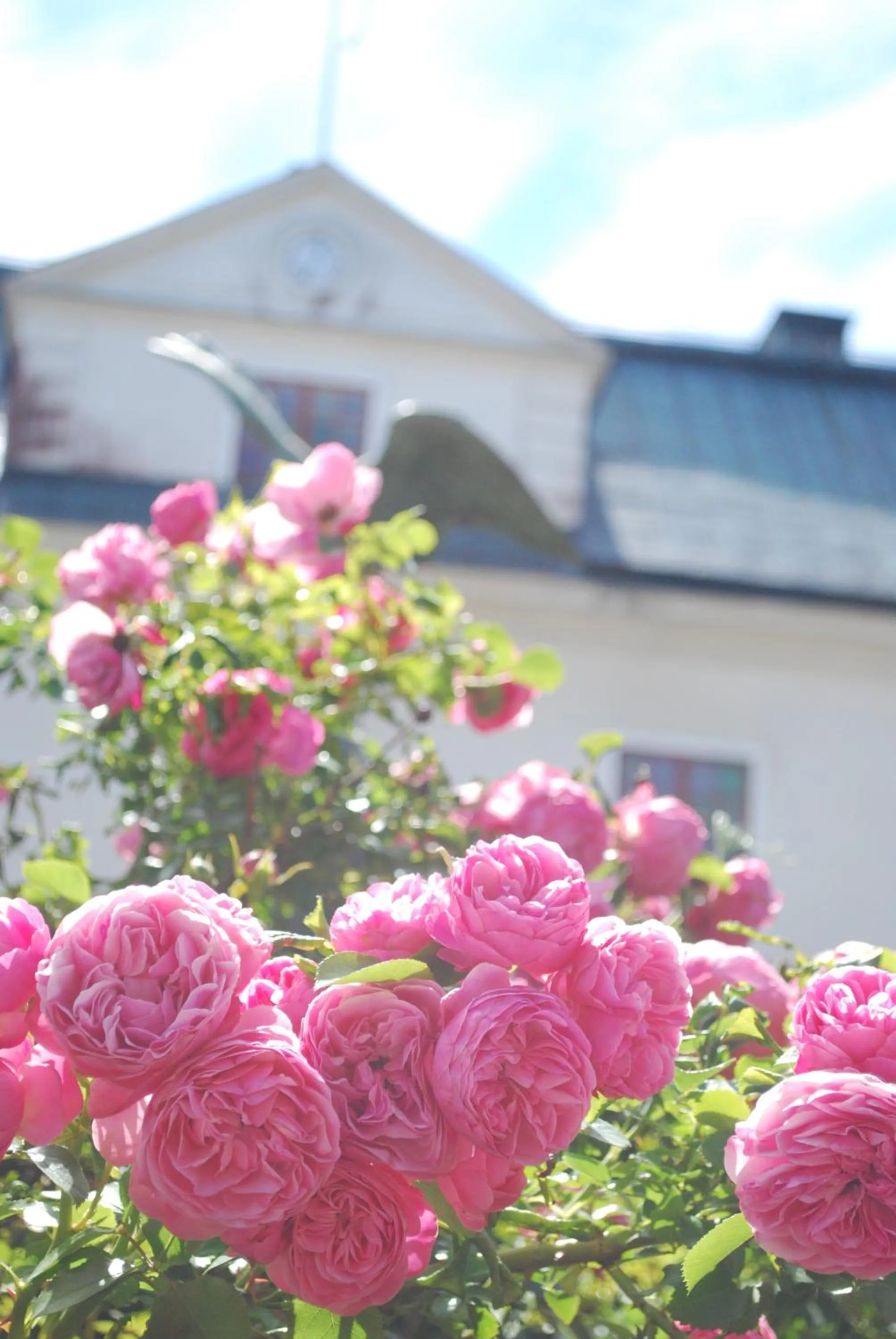 Garden in Häringe Slott