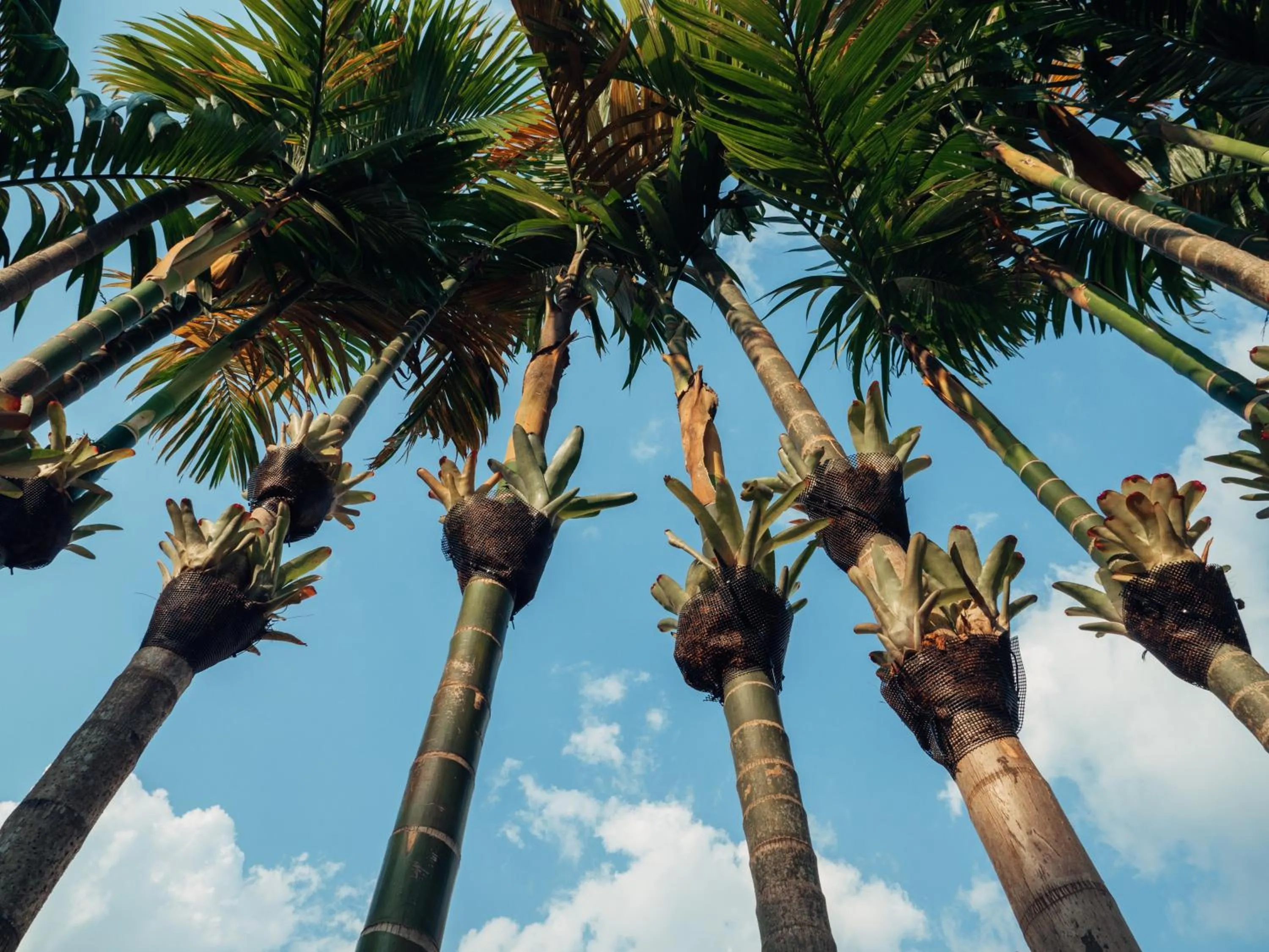 Other in Le Jardin Hotel