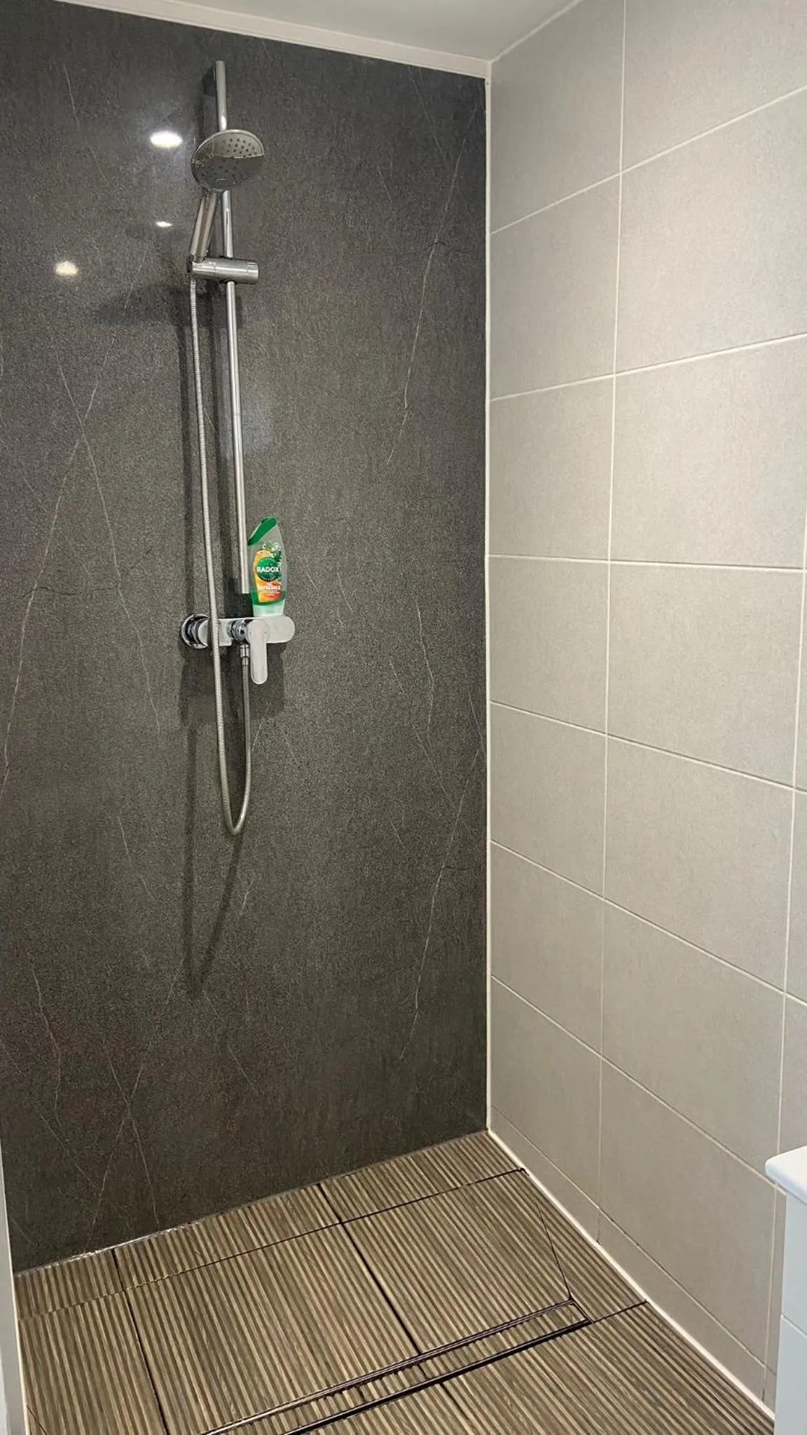 Shower in Deepcut Lodge Bed & Breakfast Self Service