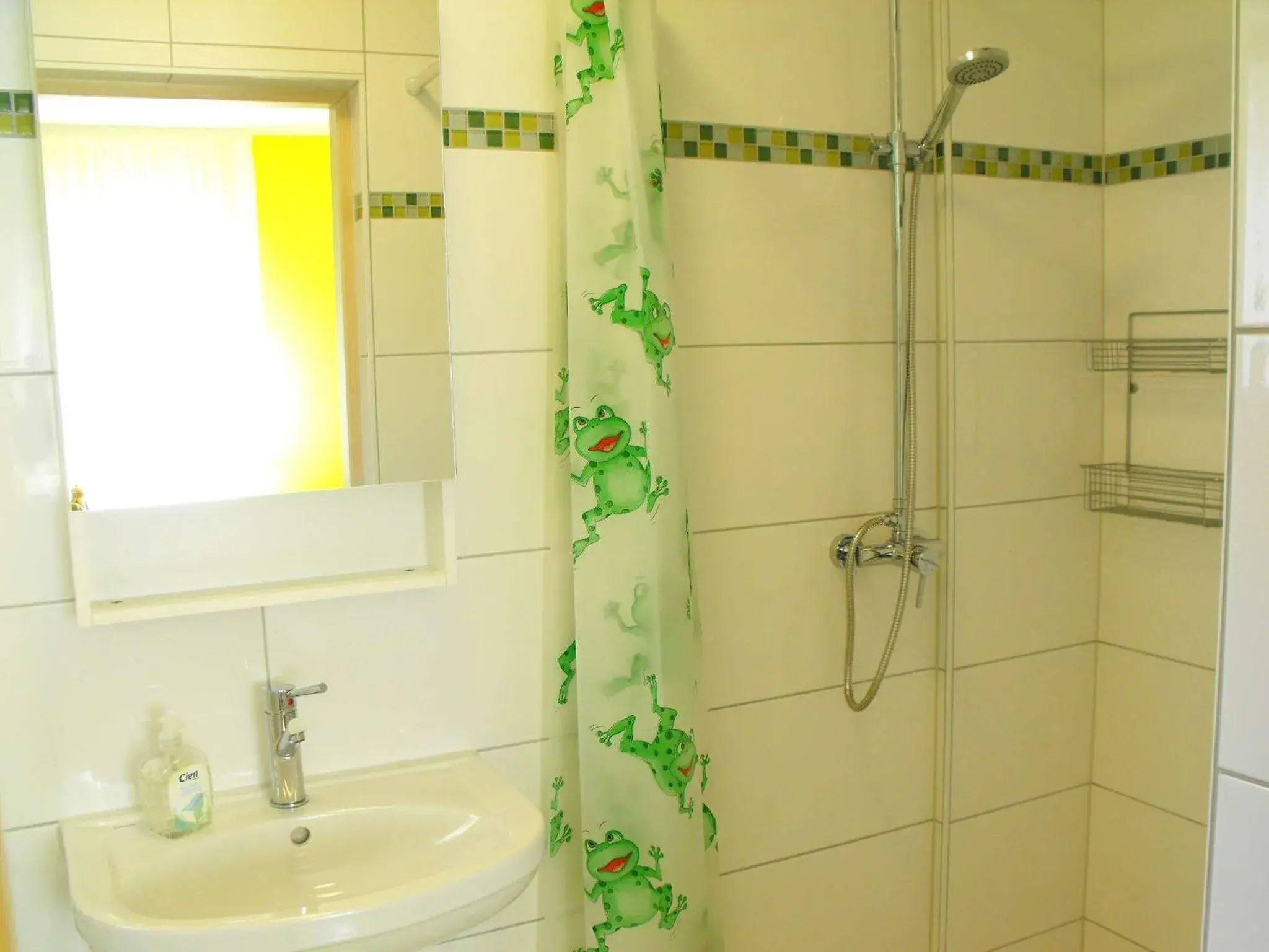 Double or Twin Room with Bathroom - single occupancy in Pension Froschprinz Double or Twin Room with Bathroom - single occupancy in Pension Froschprinz