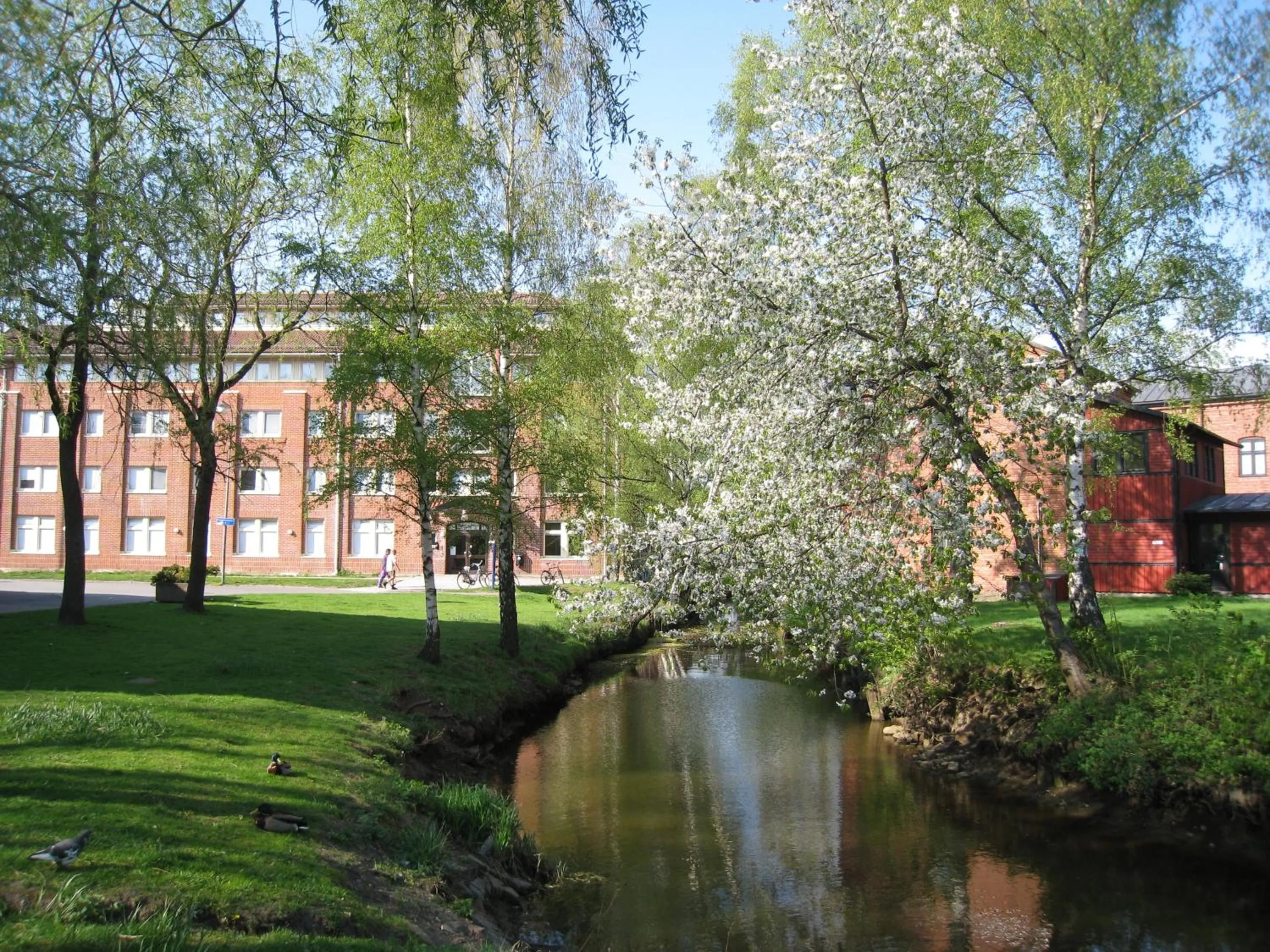 Natural landscape in Hostel Snoozemore