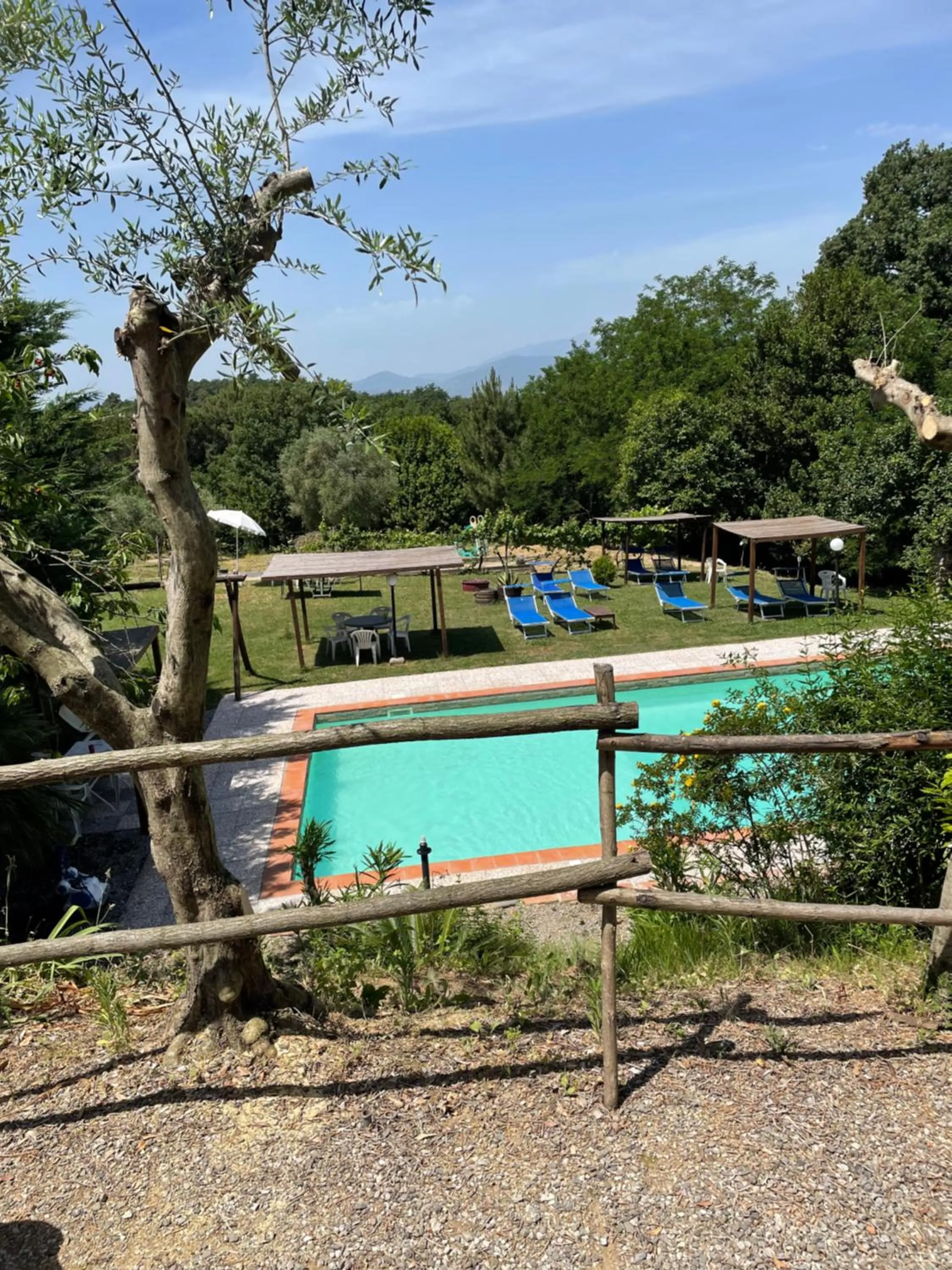 Swimming pool in B&B Alloro