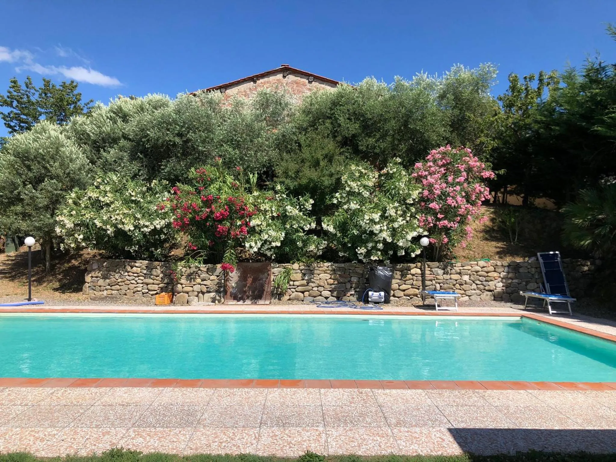Swimming pool in B&B Alloro