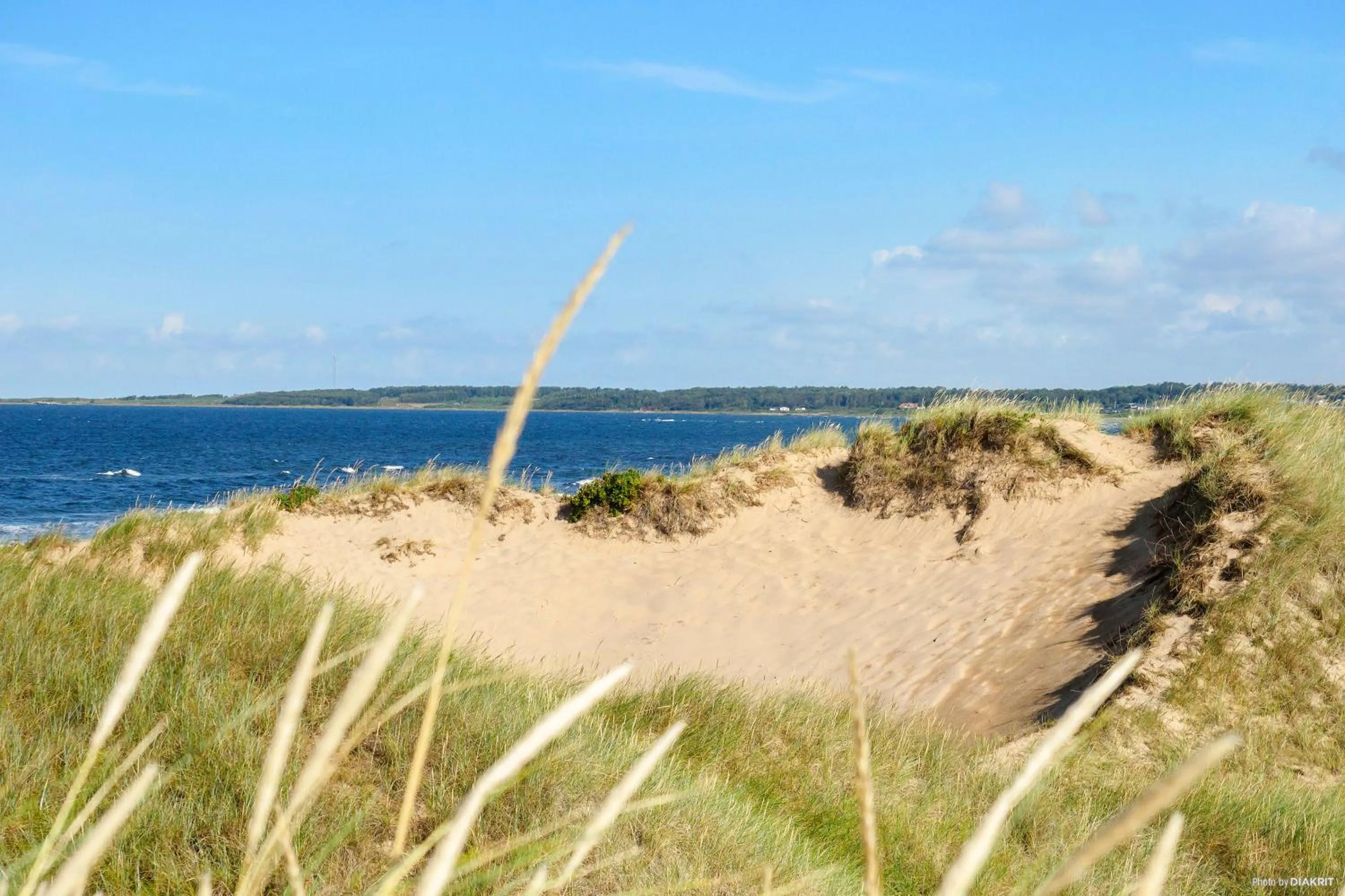 Sea view in First Camp Tylösand-Halmstad
