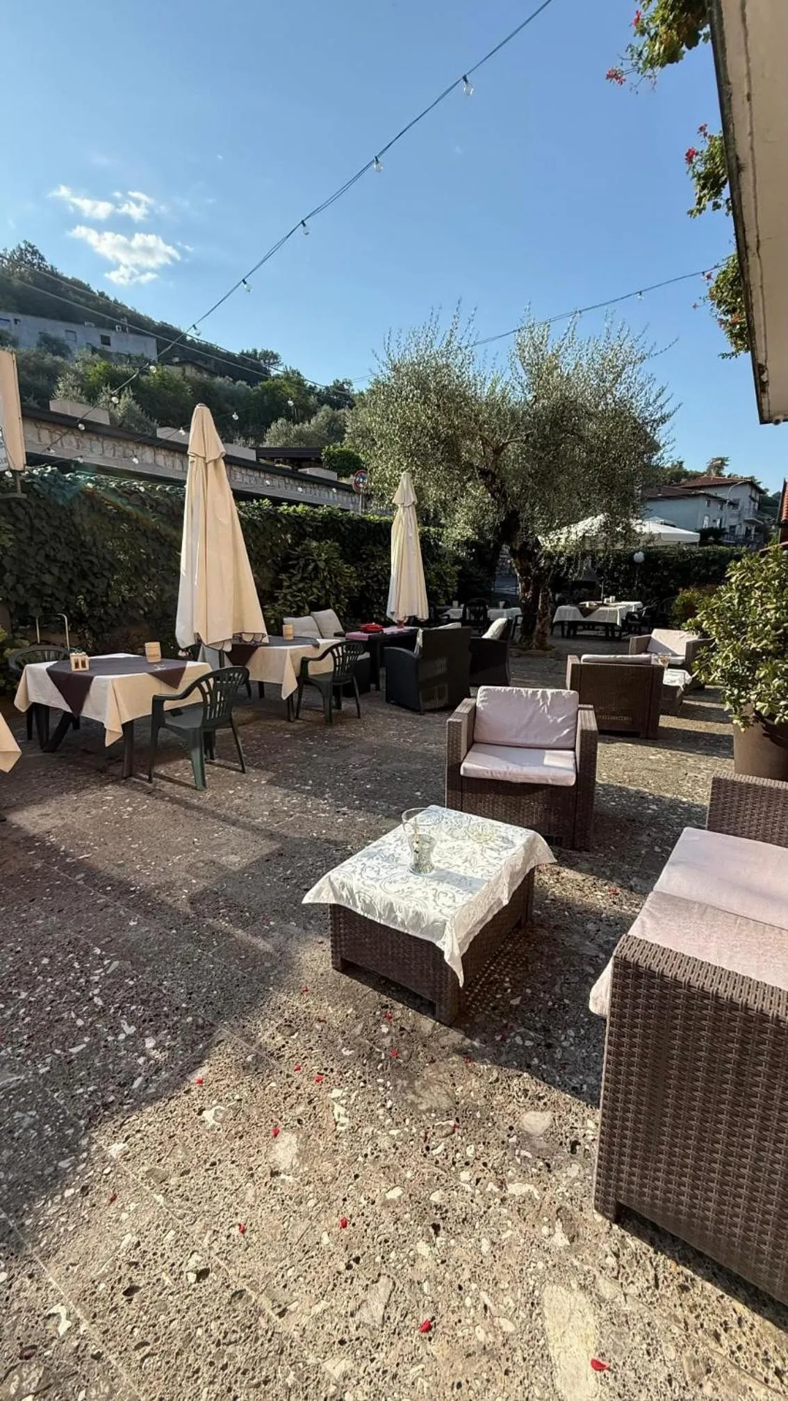 Garden in Hotel Bellavista Meublè