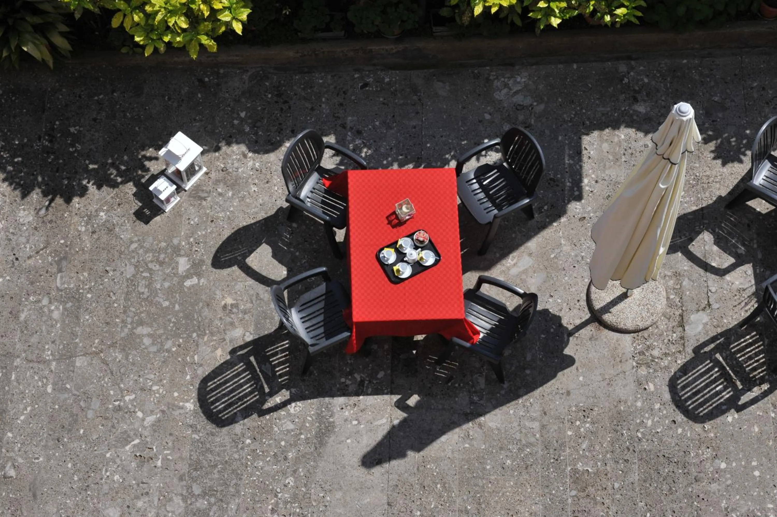 Garden in Hotel Bellavista Meublè