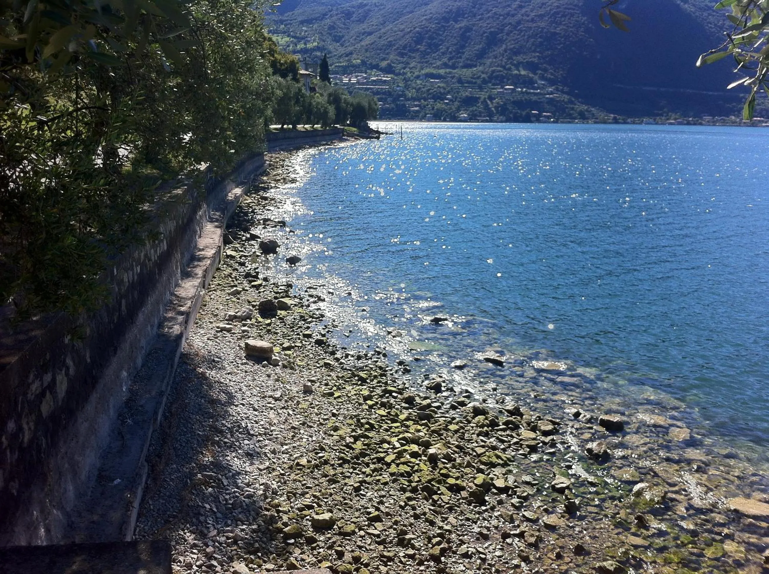Beach in Hotel Bellavista Meublè