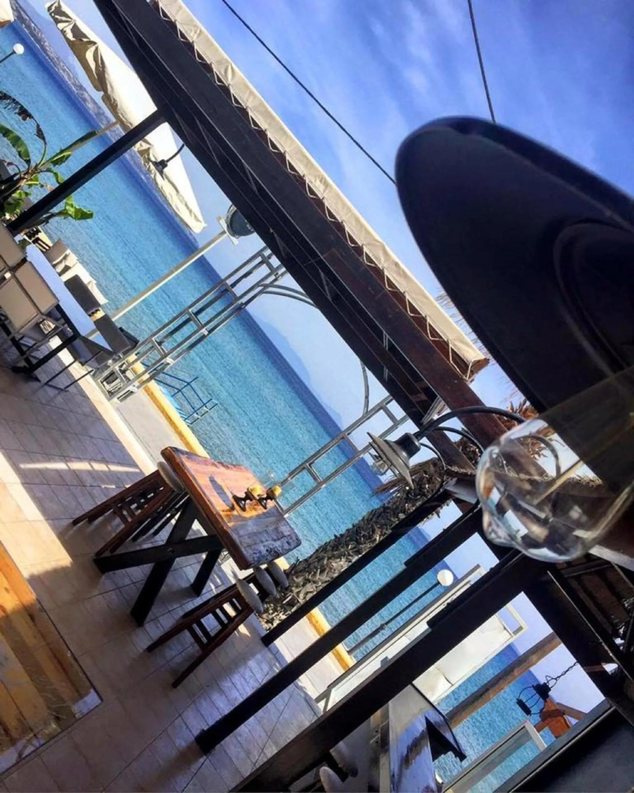 Lounge or bar in Sydney Hotel