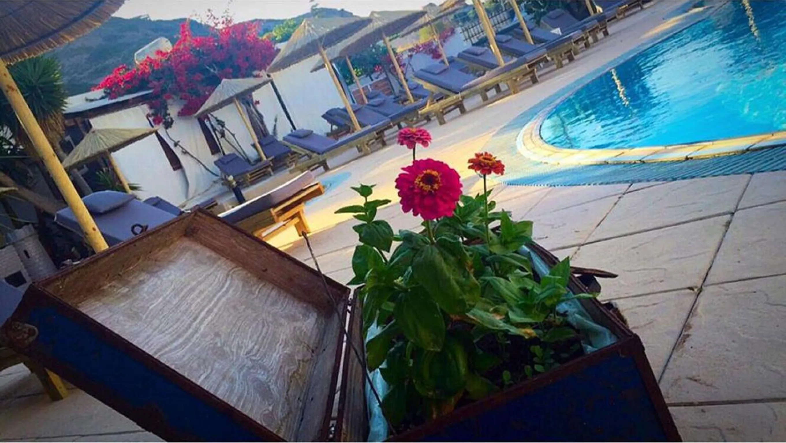 Swimming pool in Sydney Hotel