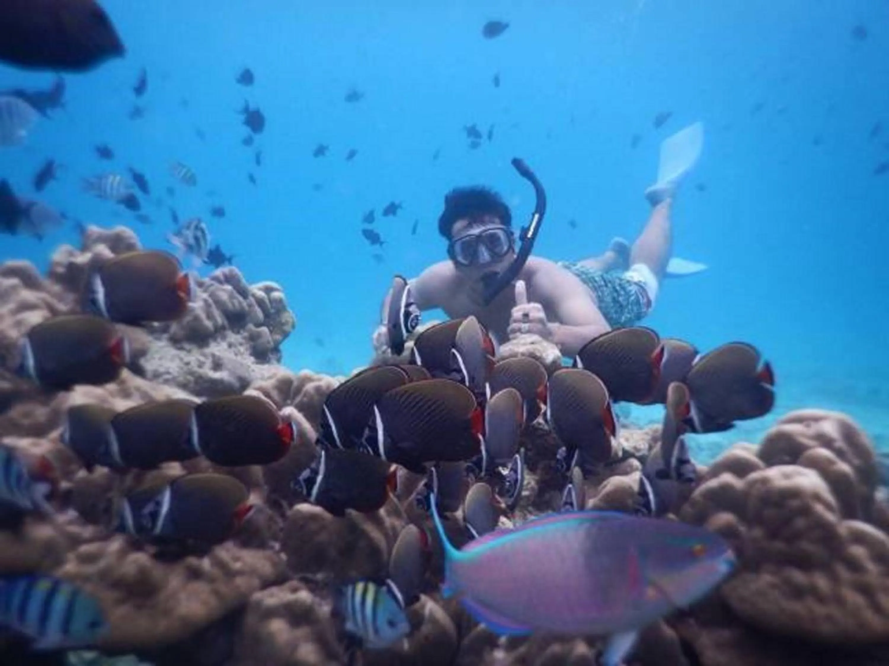 Snorkeling in Freddies Santai Sumurtiga