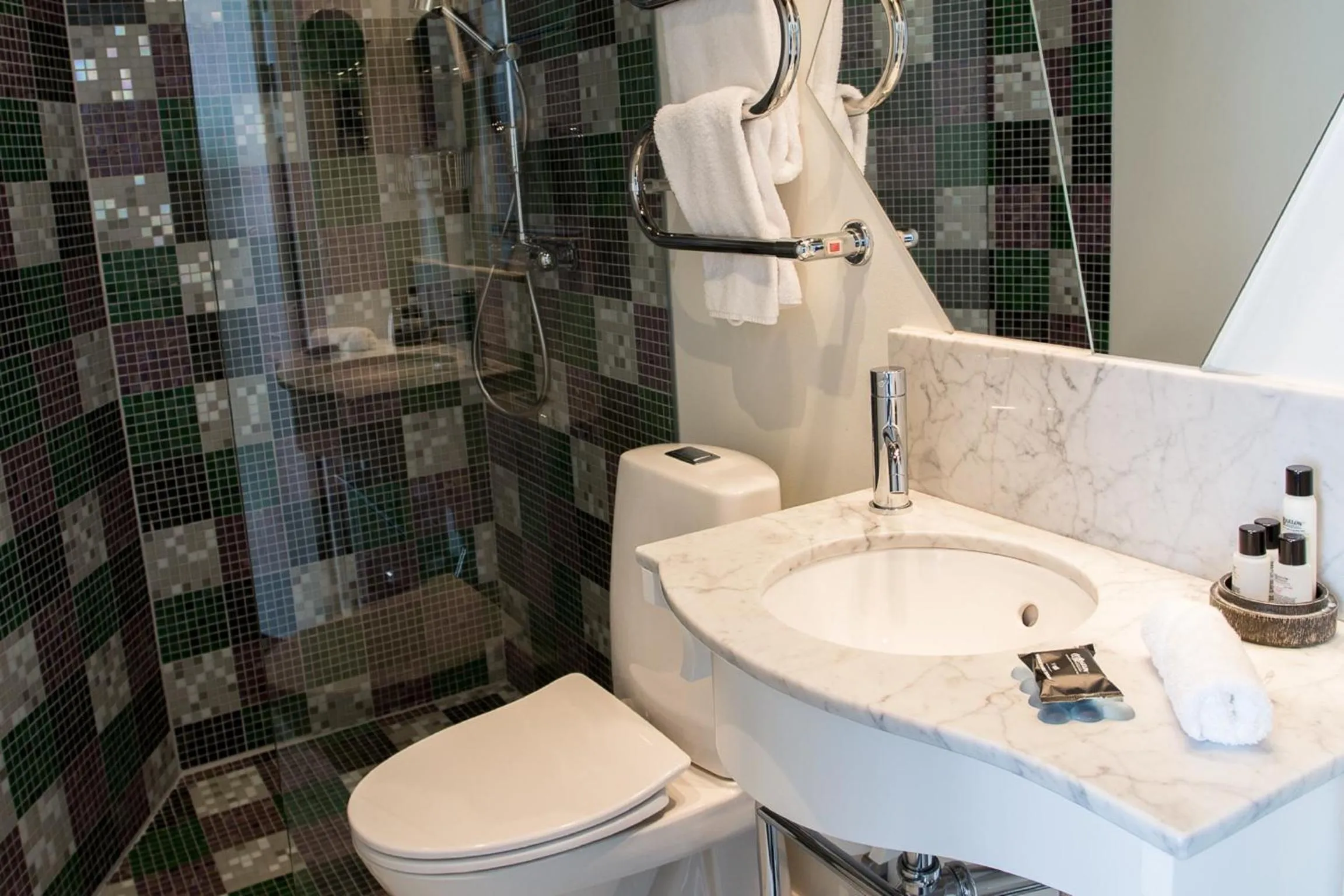 Toilet in Hotel Flora