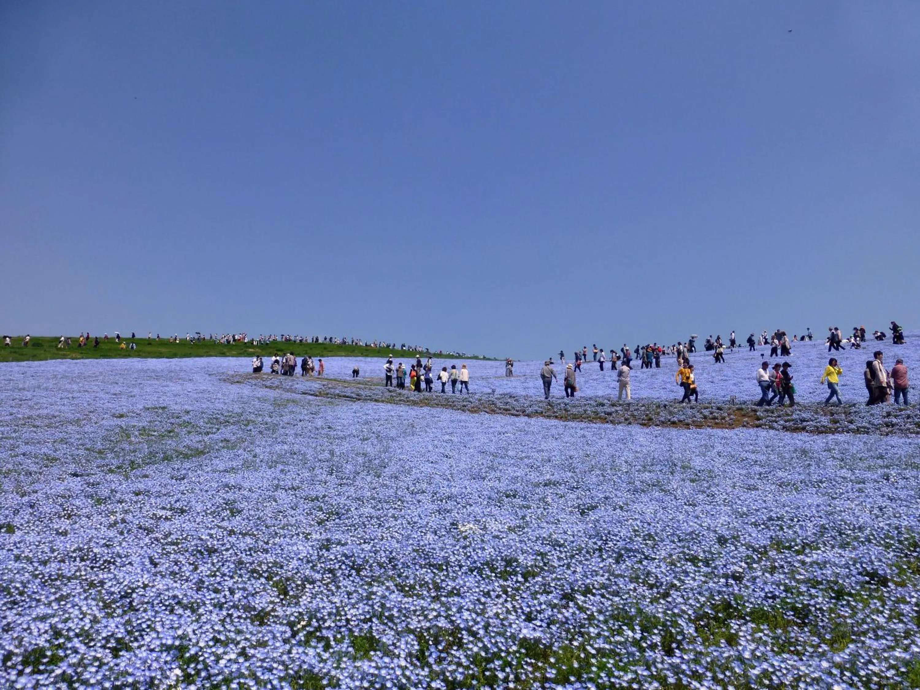 Nearby landmark in Yusenso