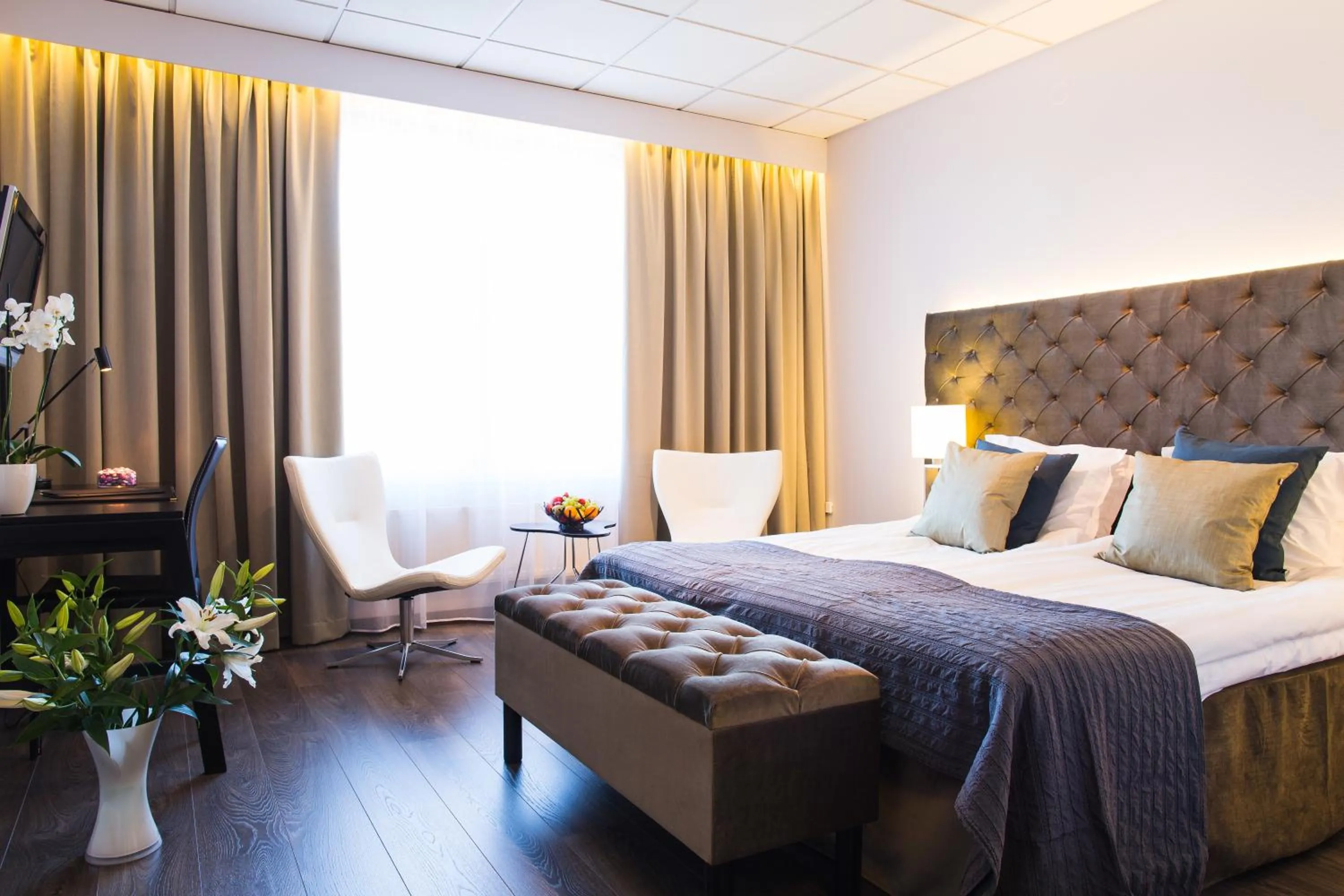 Day, Bed in Nova Park Conference