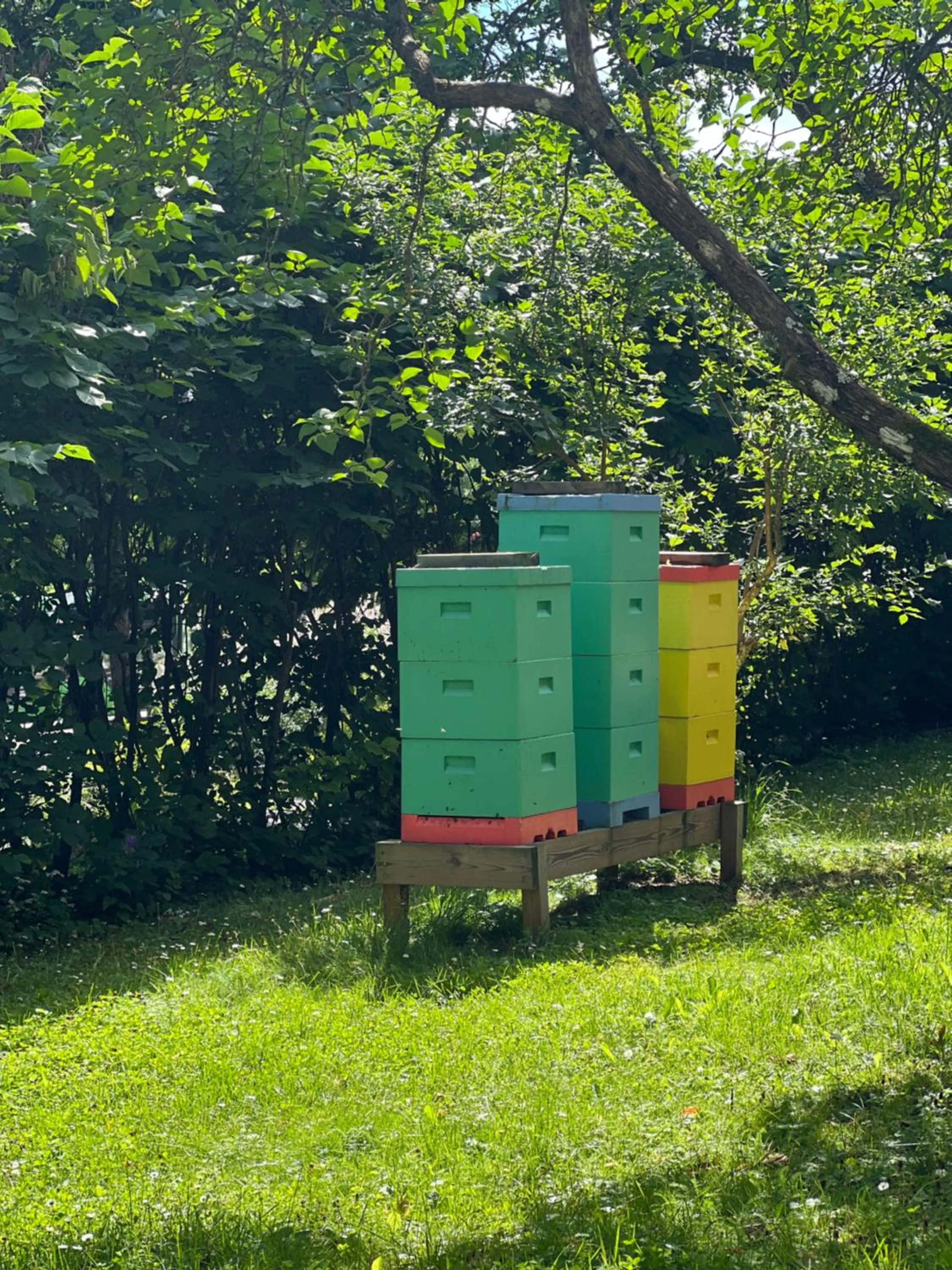 Garden in Akademihotellet