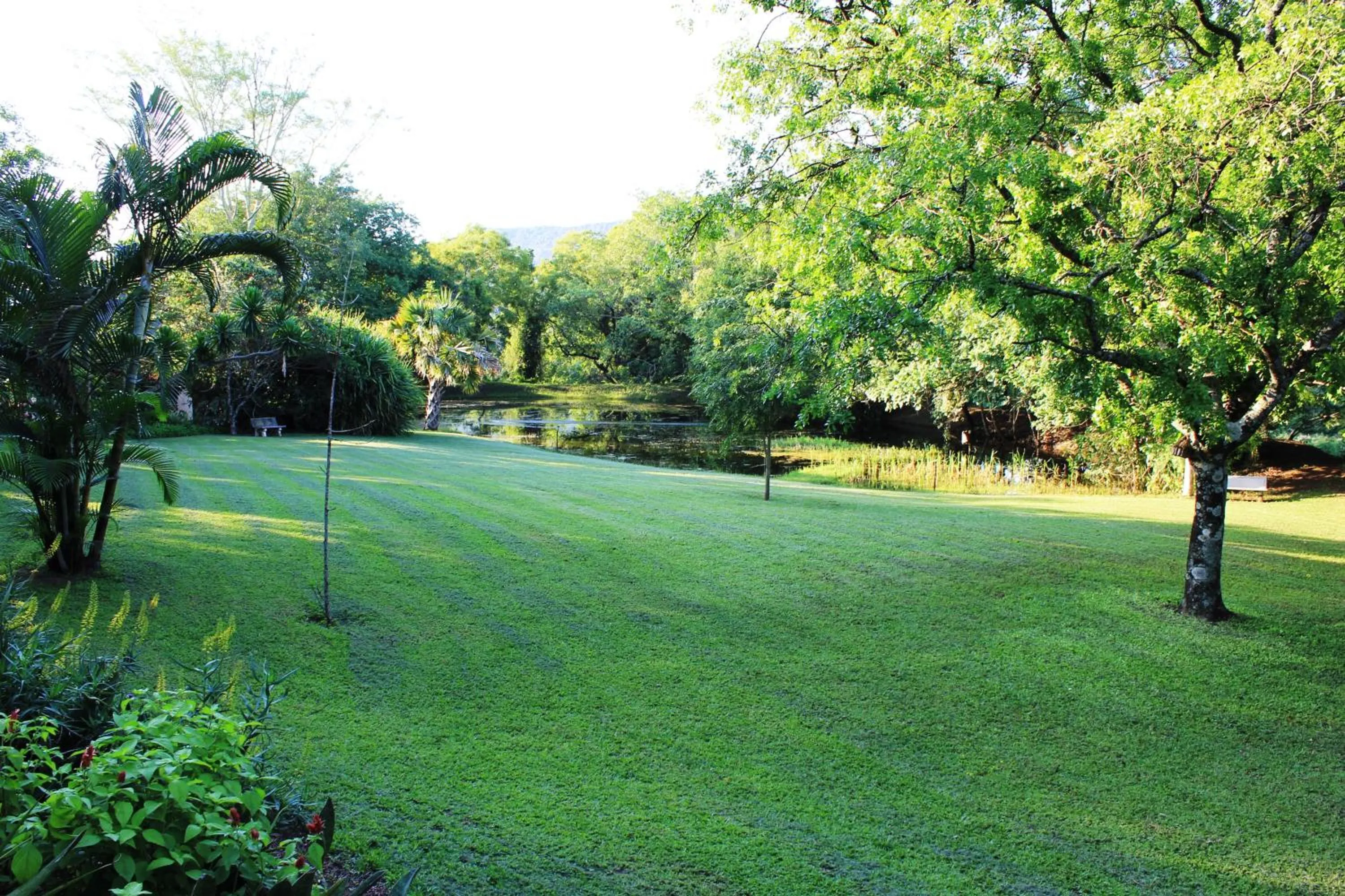 Fishing in Idle & Wild Chalet