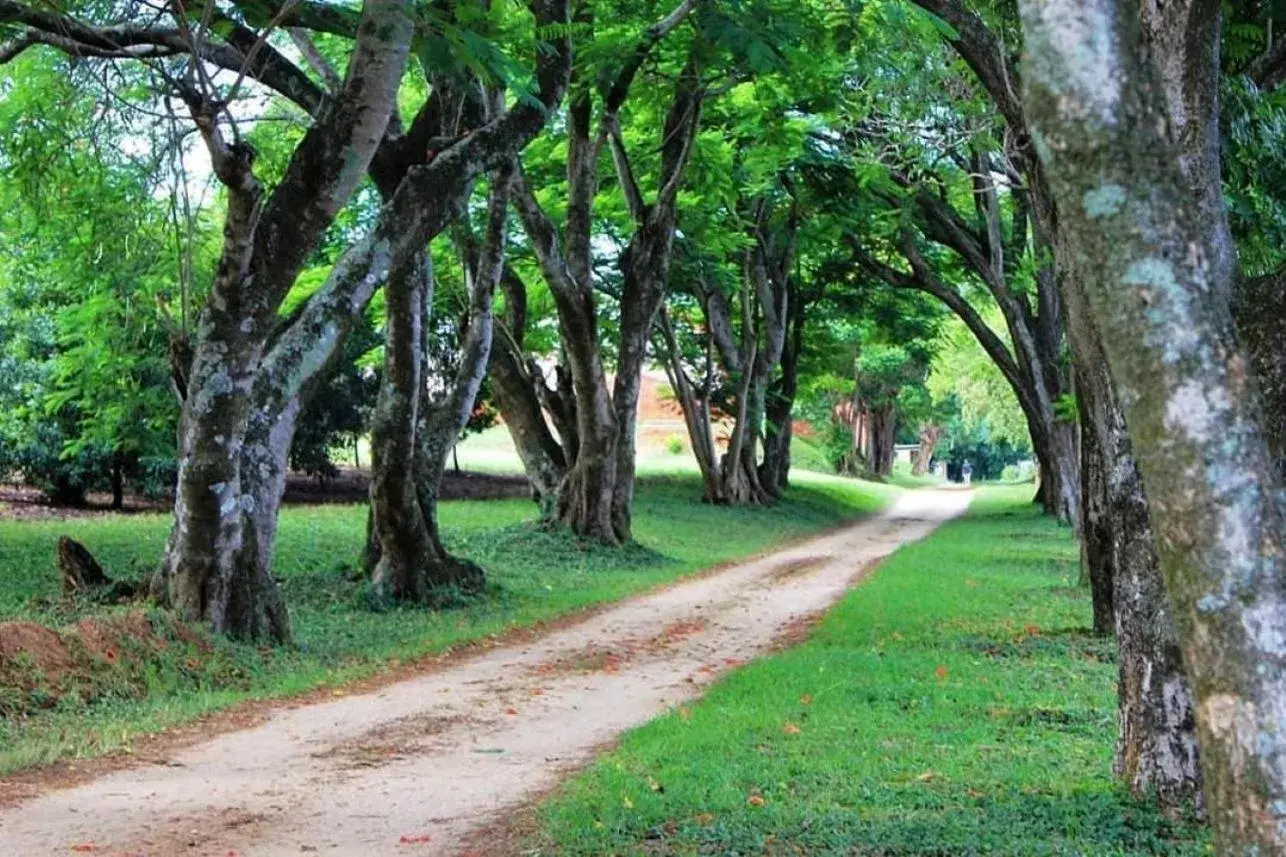 Idle & Wild Chalet Idle & Wild Chalet