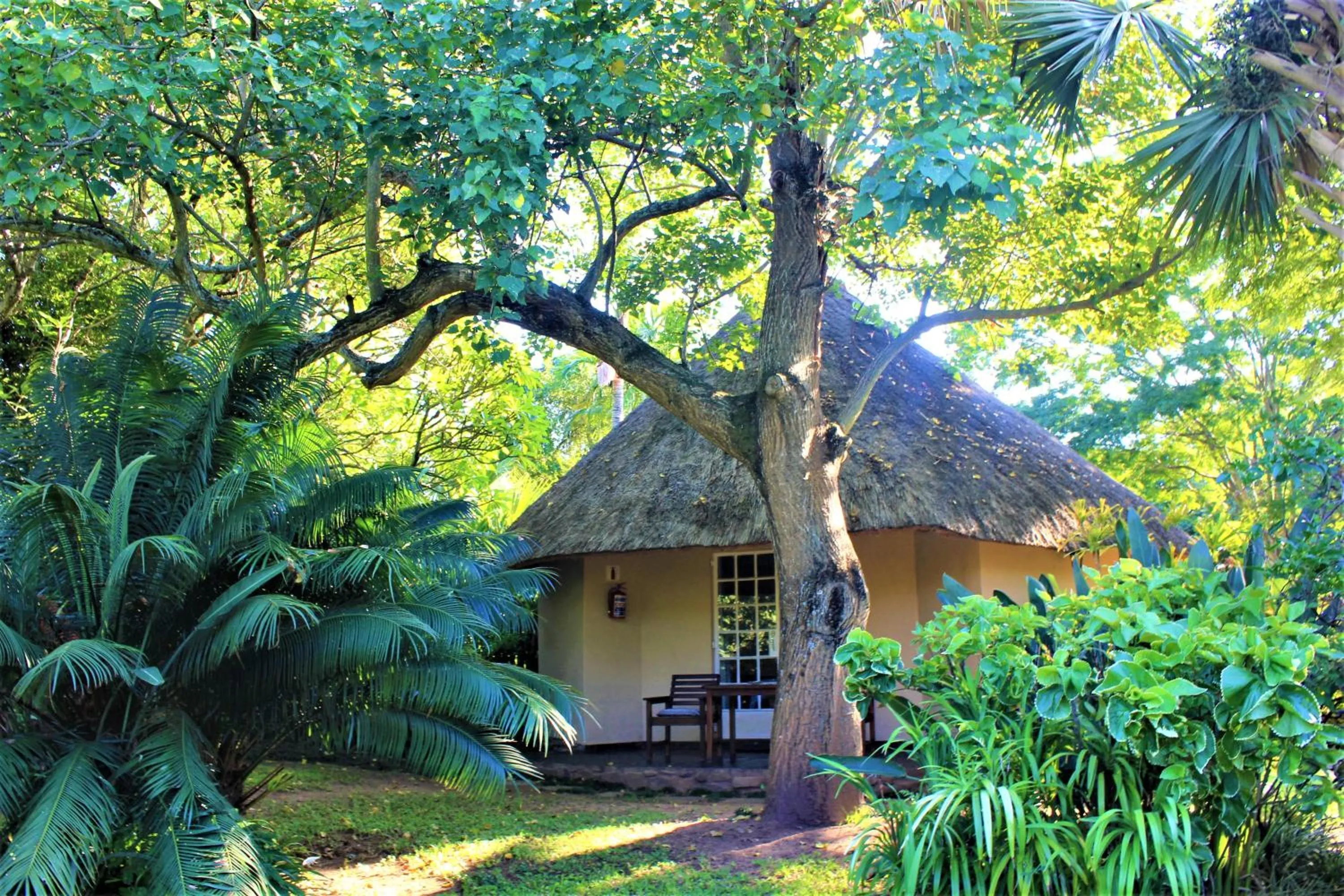 Garden view in Idle & Wild Chalet