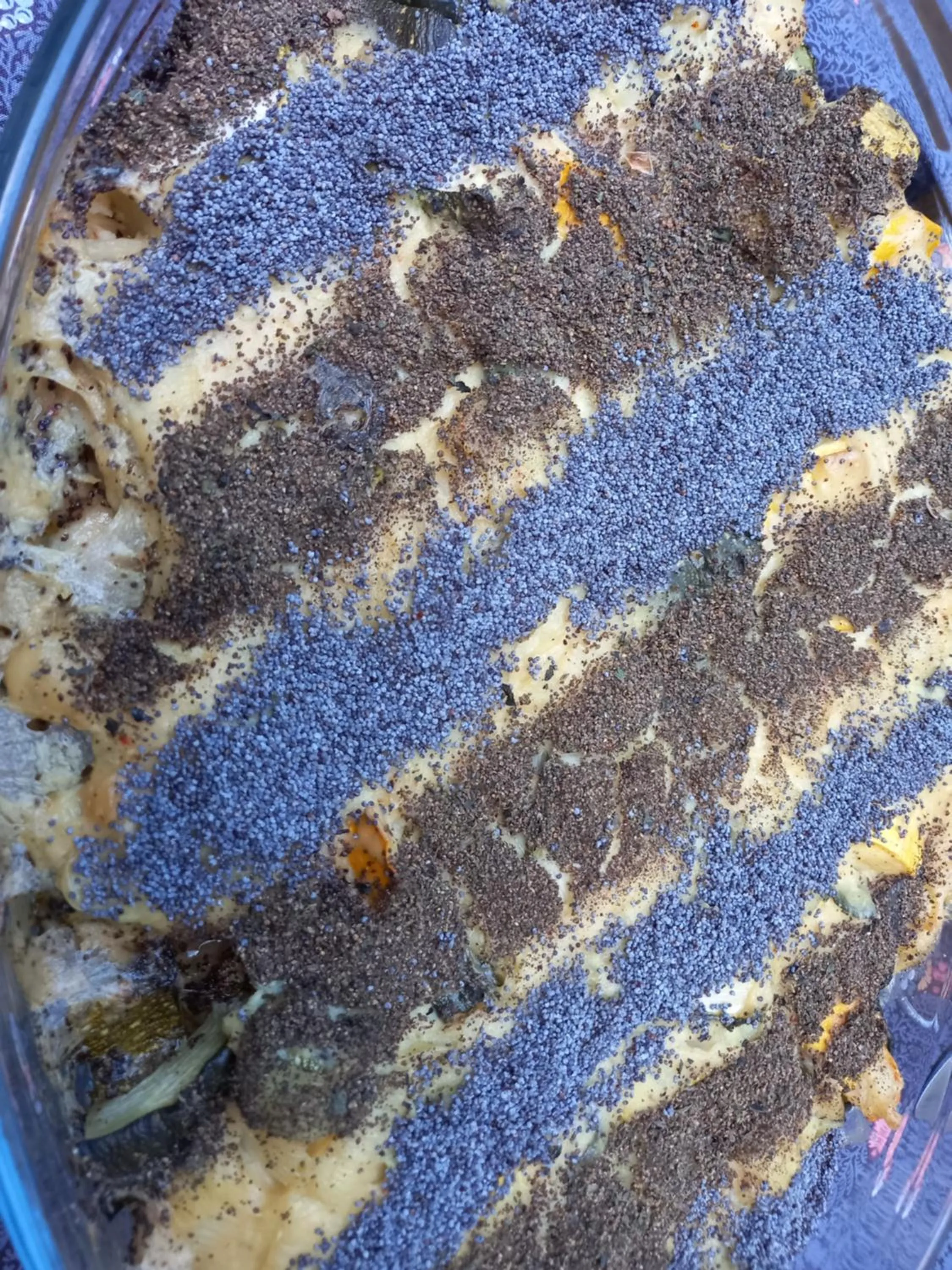 VALRELEY, chambres et table d'hôtes eco-friendly avec bain nordique au sud du massif du Jura