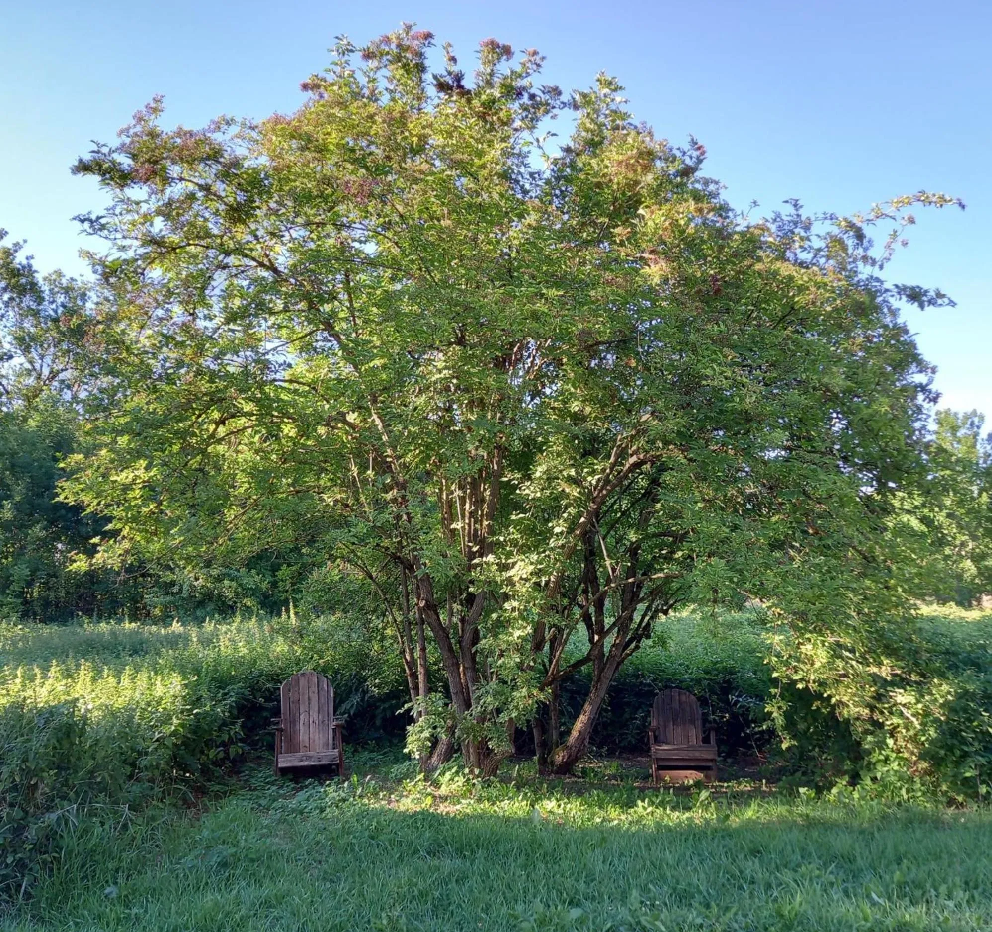 Hiking in VALRELEY, chambres et table d'hôtes eco-friendly avec bain nordique au sud du massif du Jura