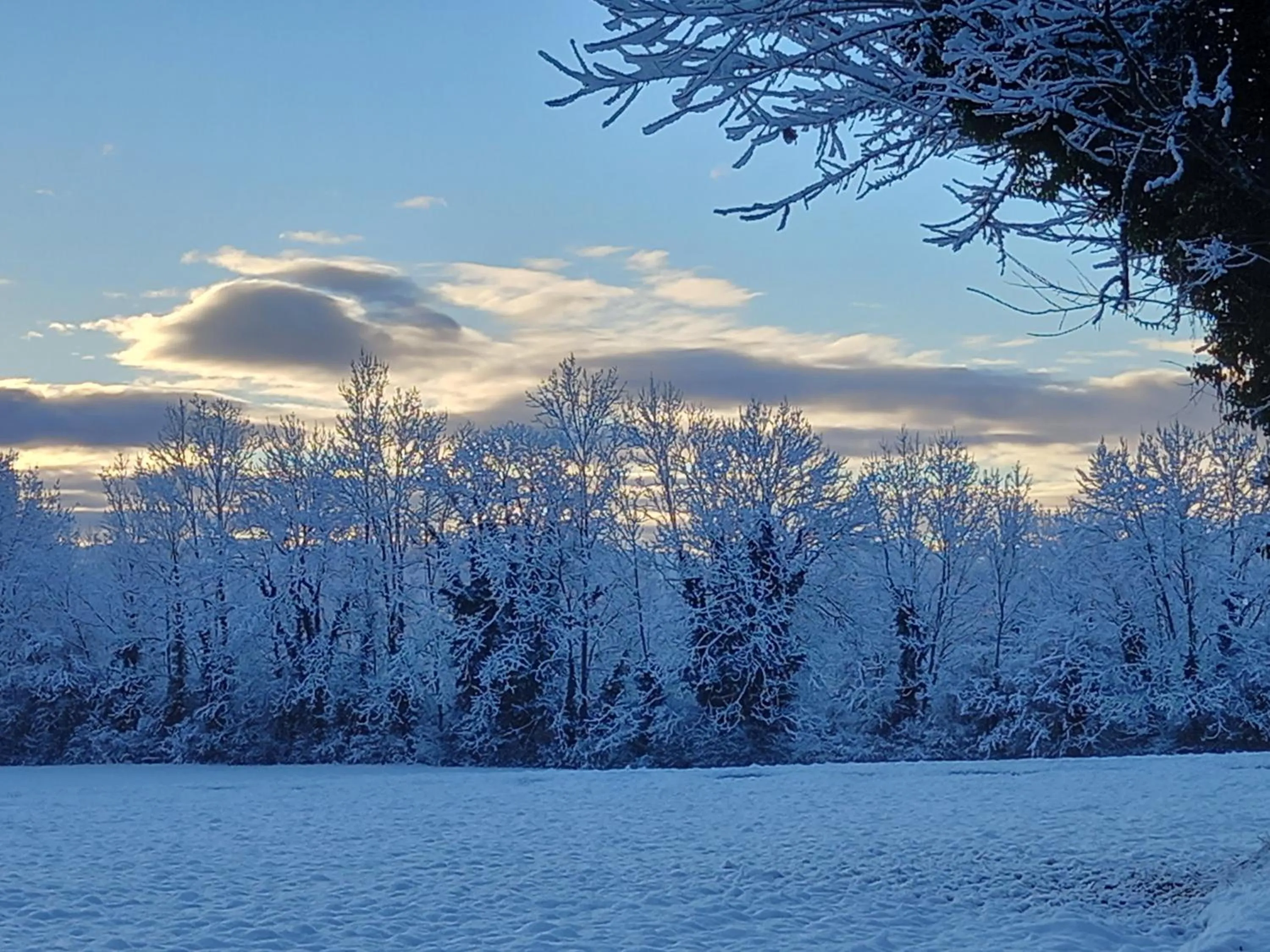 Hiking in VALRELEY, chambres et table d'hôtes eco-friendly avec bain nordique au sud du massif du Jura