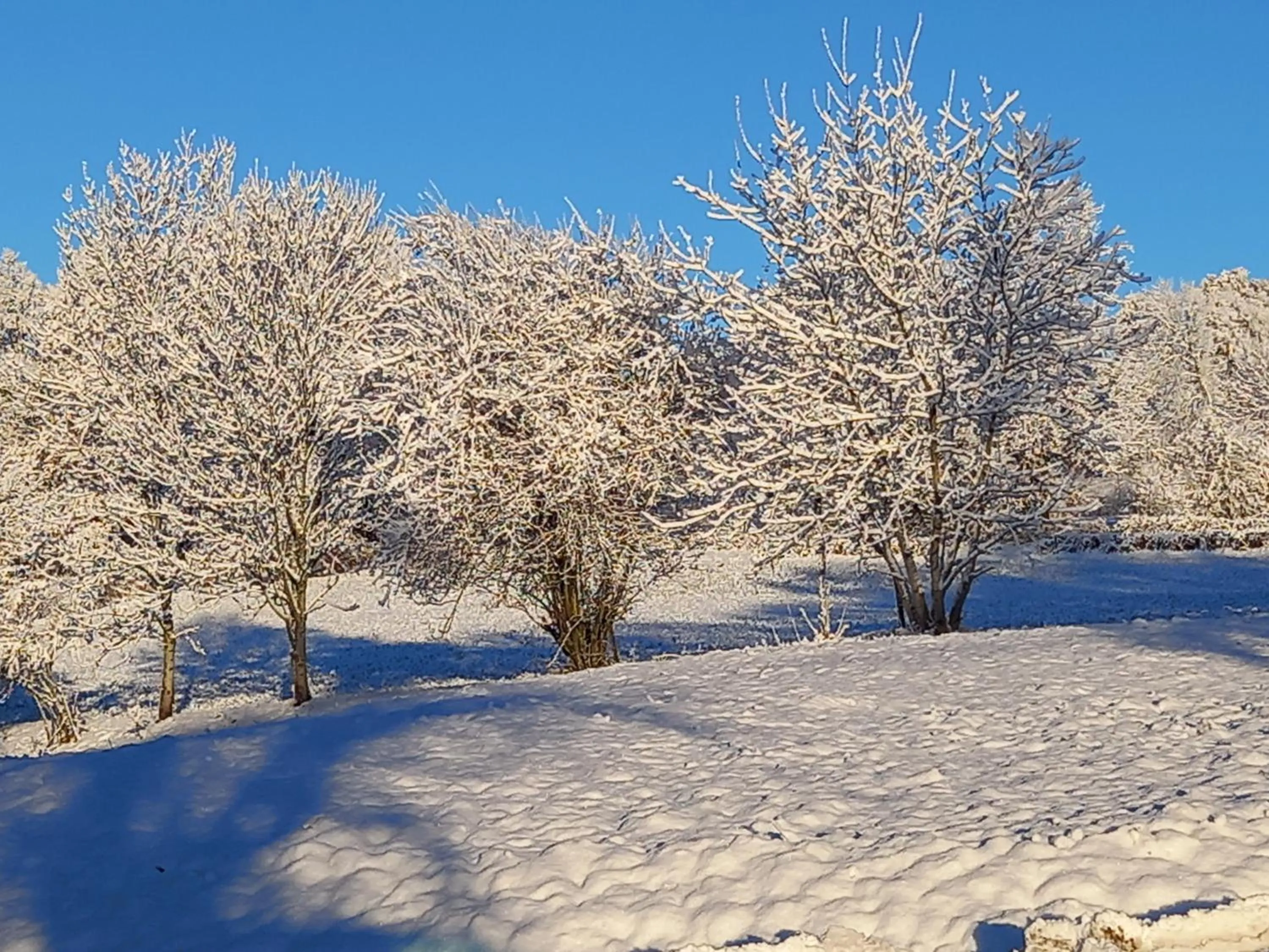 Hiking in VALRELEY, chambres et table d'hôtes eco-friendly avec bain nordique au sud du massif du Jura