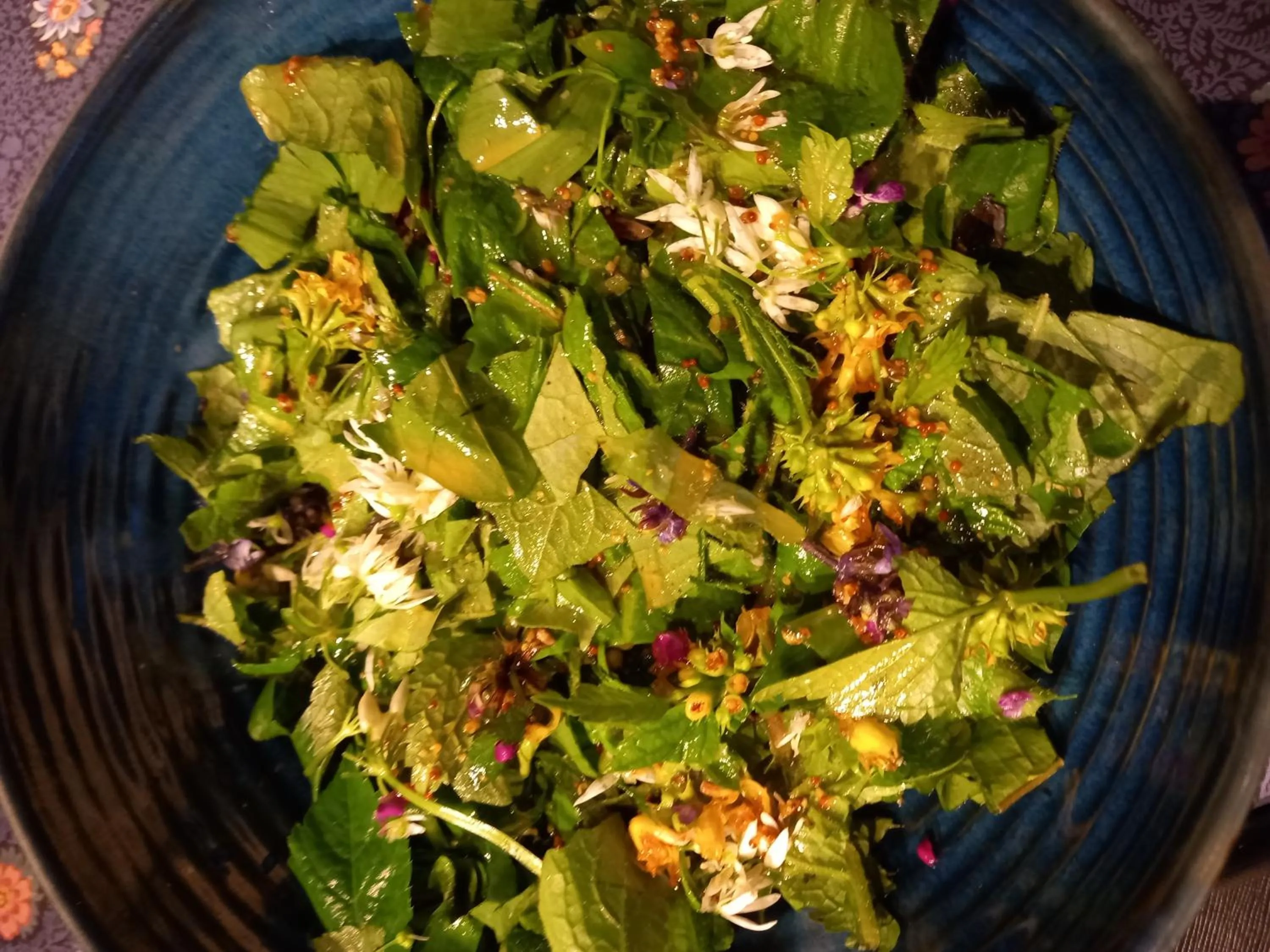 VALRELEY, chambres et table d'hôtes eco-friendly avec bain nordique au sud du massif du Jura