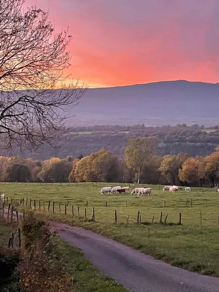 Hiking in VALRELEY, chambres et table d'hôtes eco-friendly avec bain nordique au sud du massif du Jura